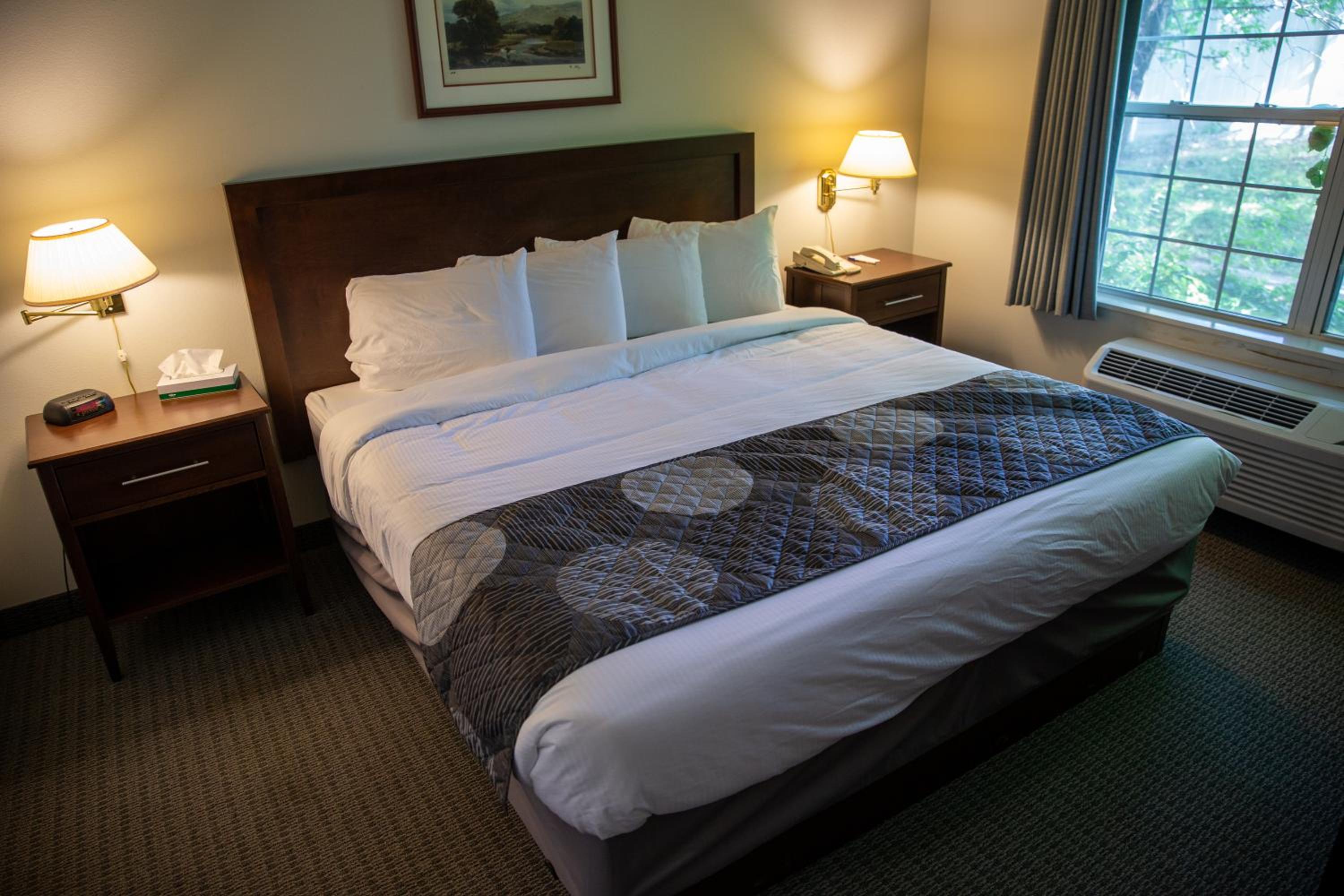 Family Suite - Photo 1