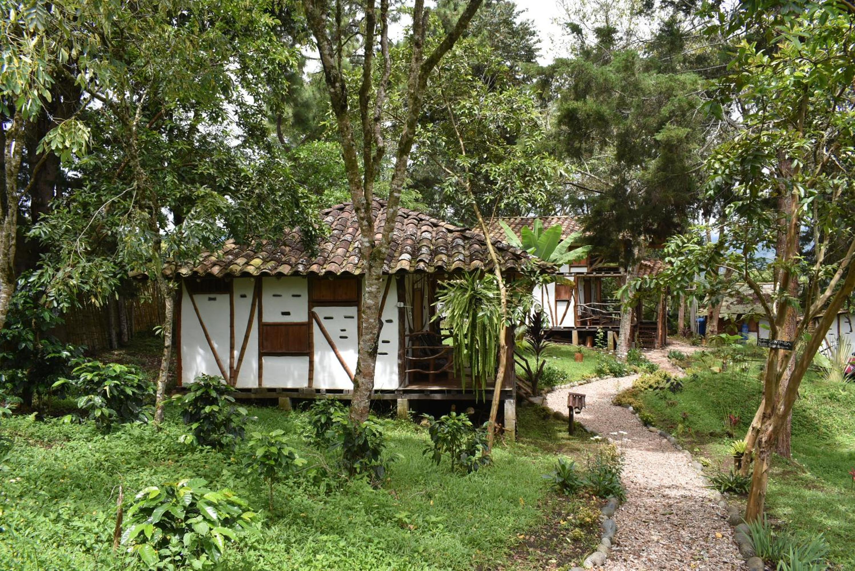 Triple Room with Terrace
