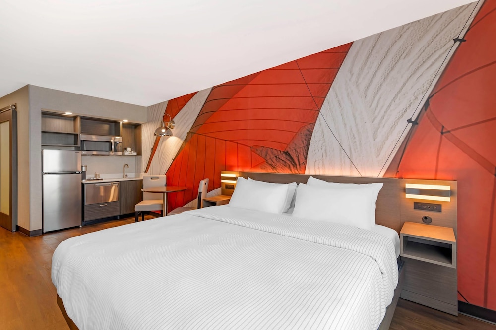 Room, 1 King Bed, Accessible, Non Smoking (Efficiency) - Photo 1