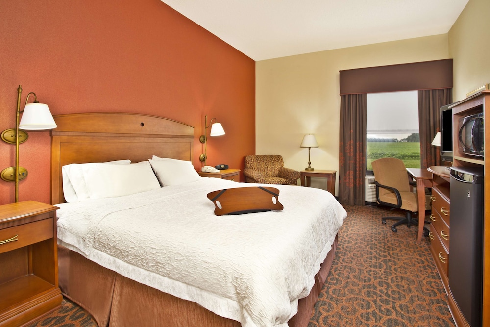Room, 1 King Bed, Accessible, Non Smoking