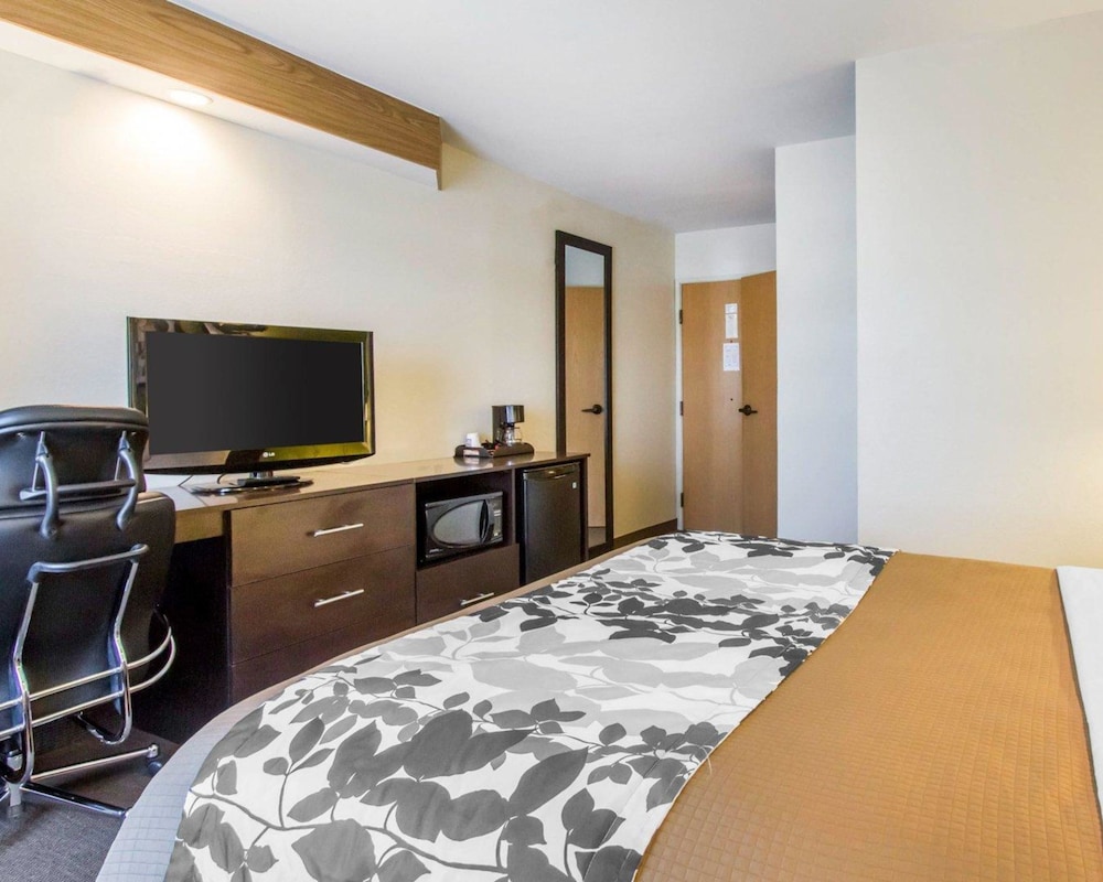Standard Room, 1 Queen Bed, Accessible, Non Smoking - Photo 4