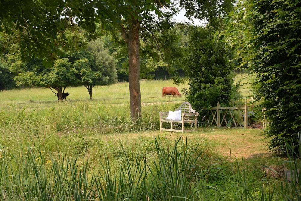 Cottage photo 3