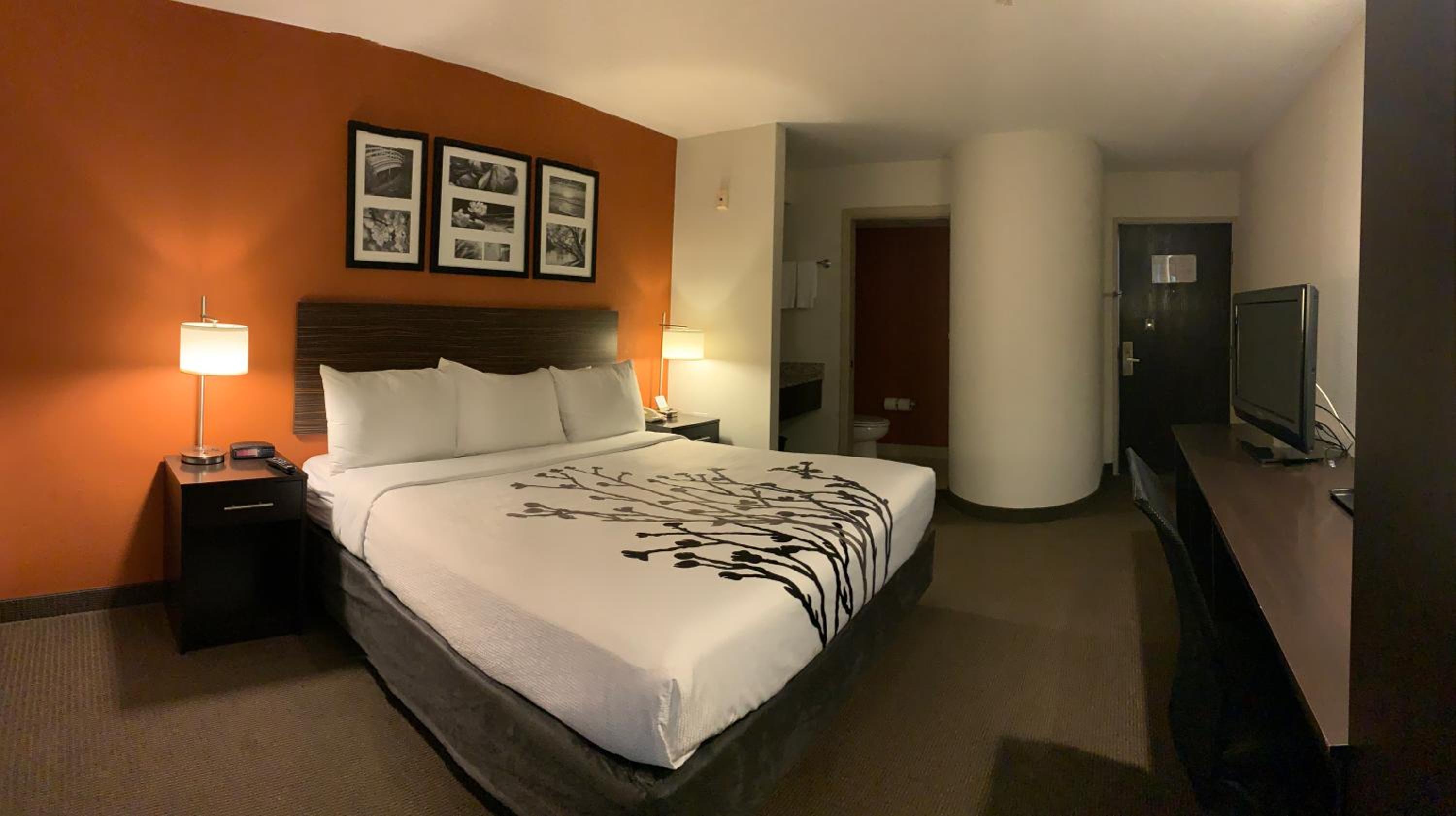 Standard King Room - Non-Smoking  - Photo 4