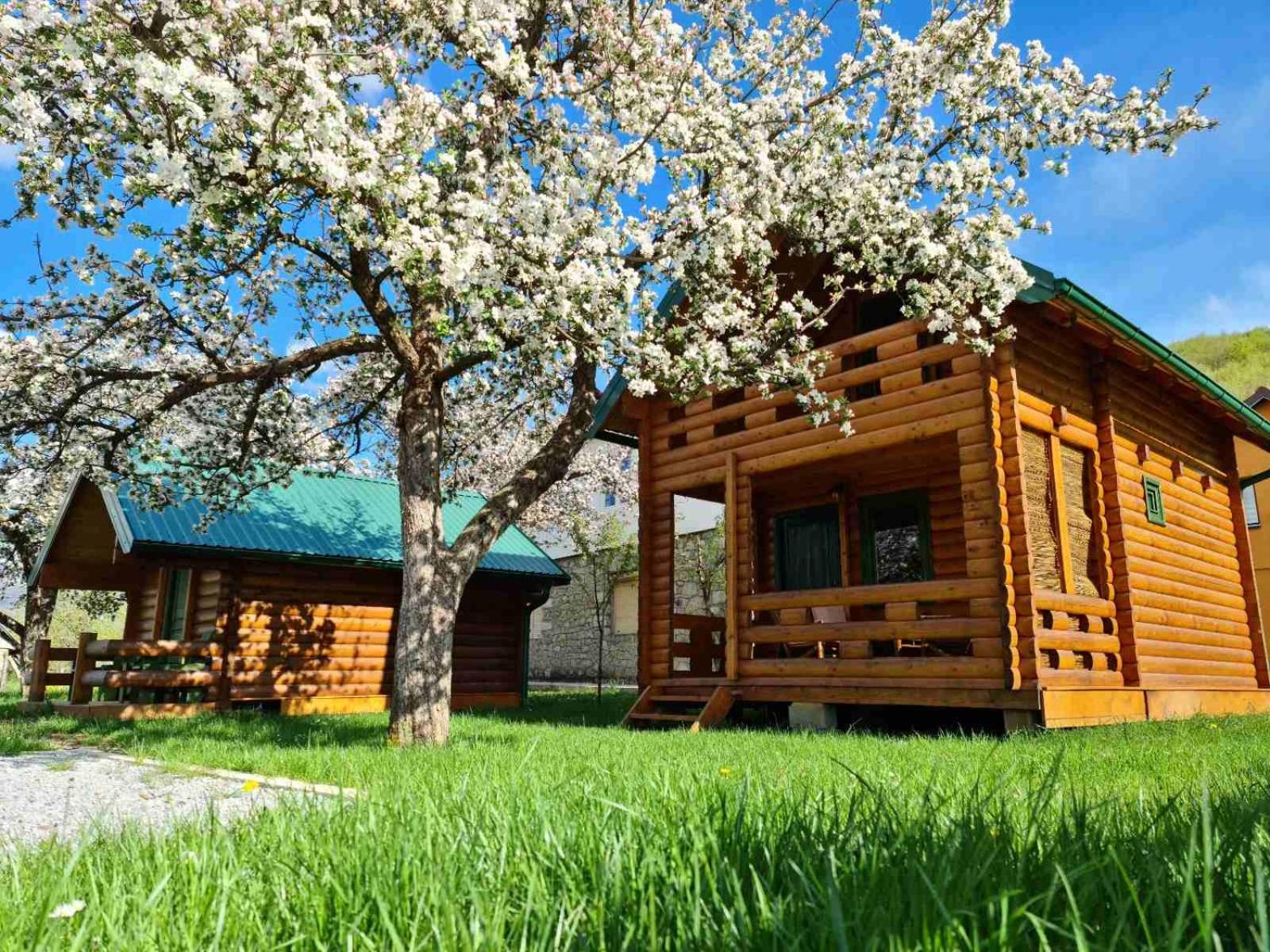 Vacation Home photo 2