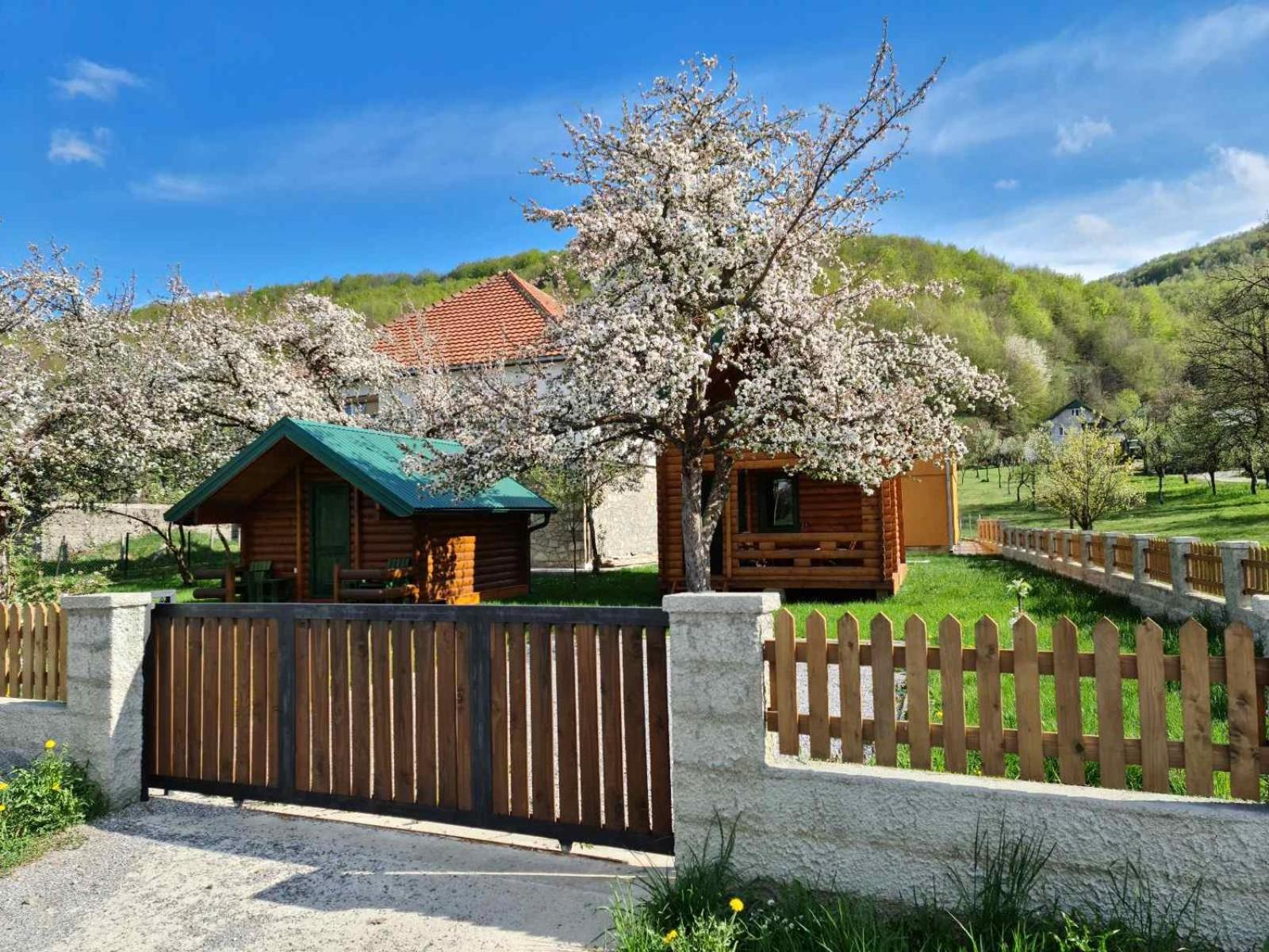 Vacation Home photo 3