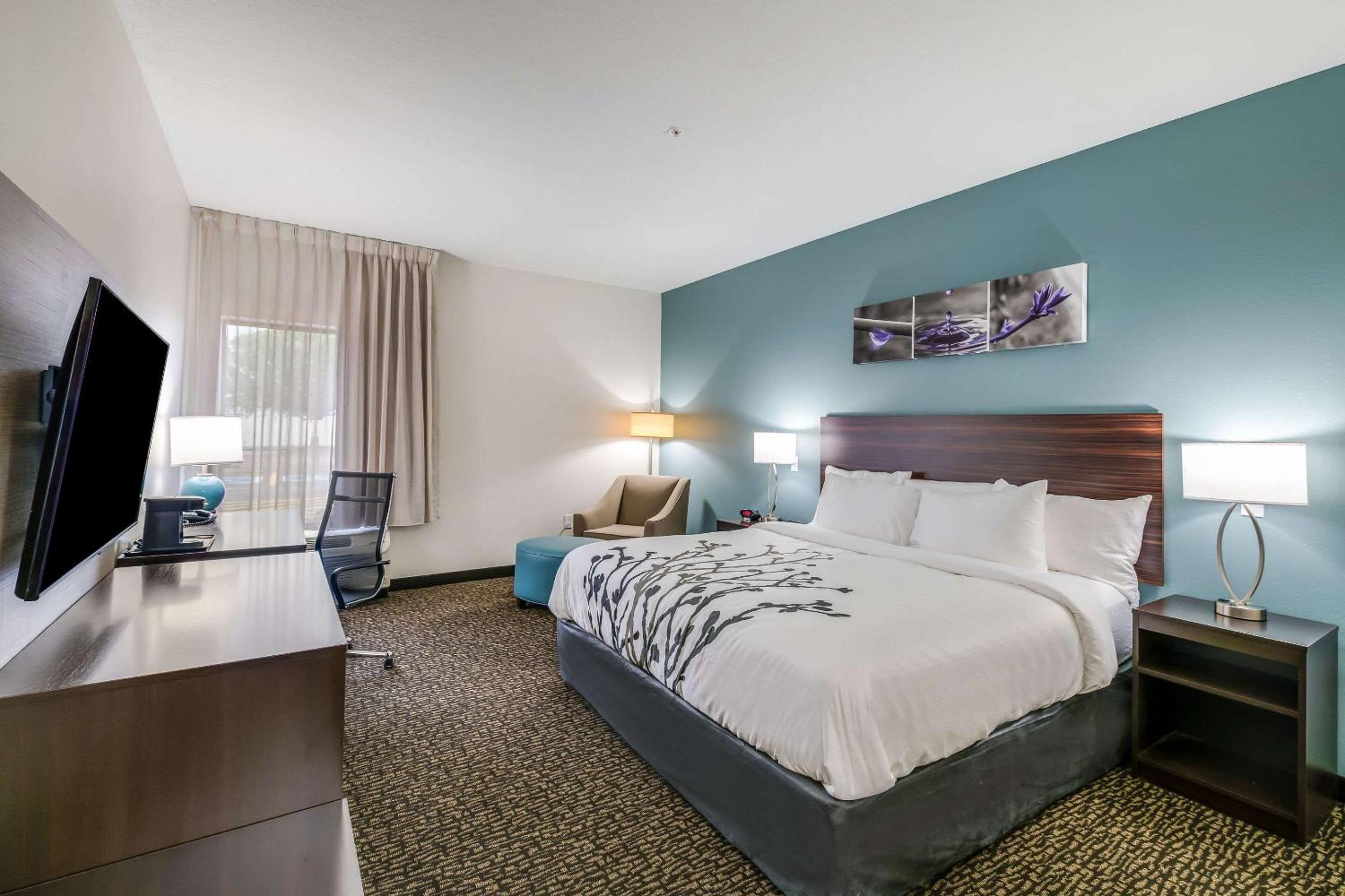 King Room - Accessible/Non Smoking - Photo 1