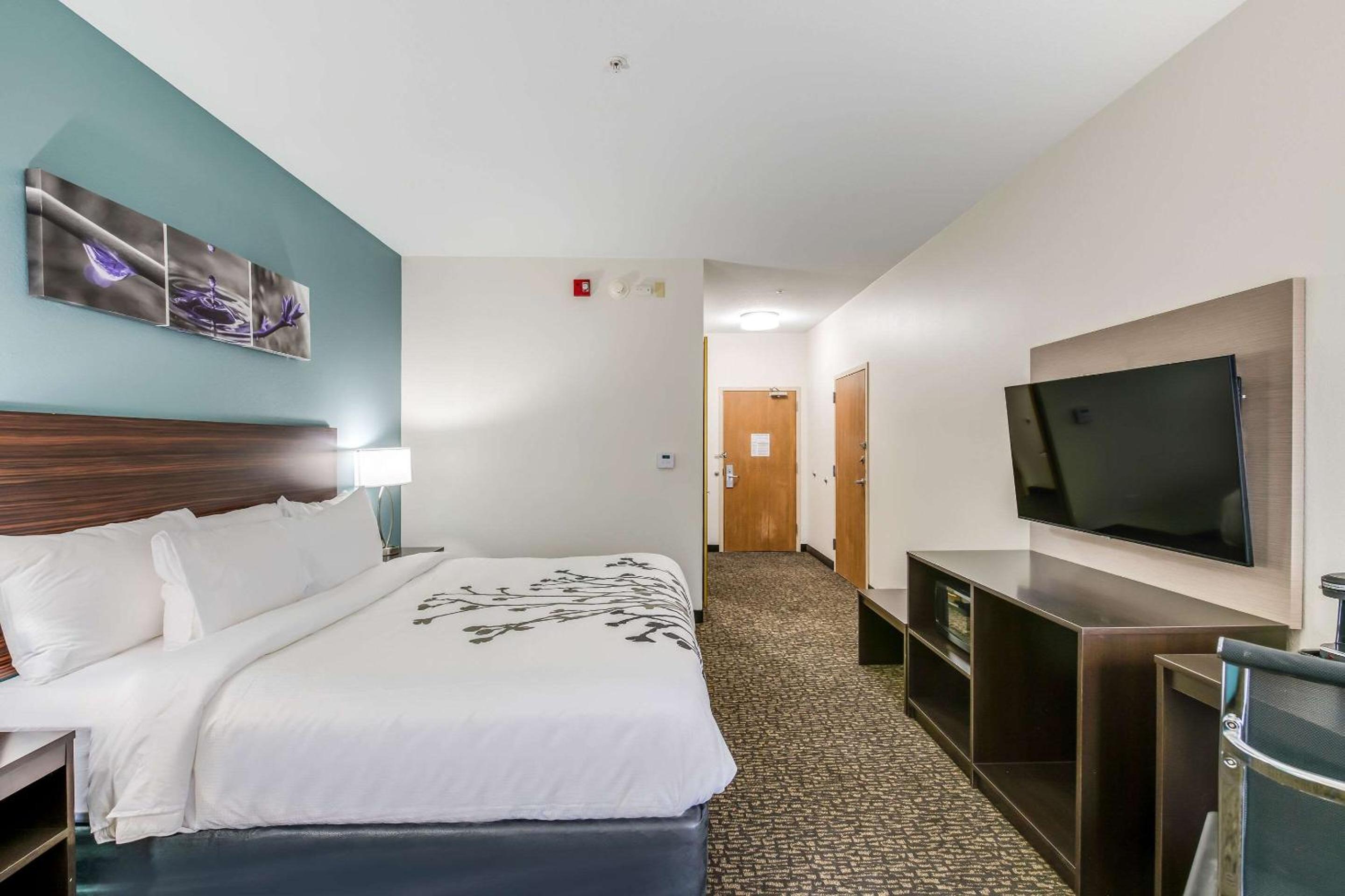 King Room - Accessible/Non Smoking - Photo 4
