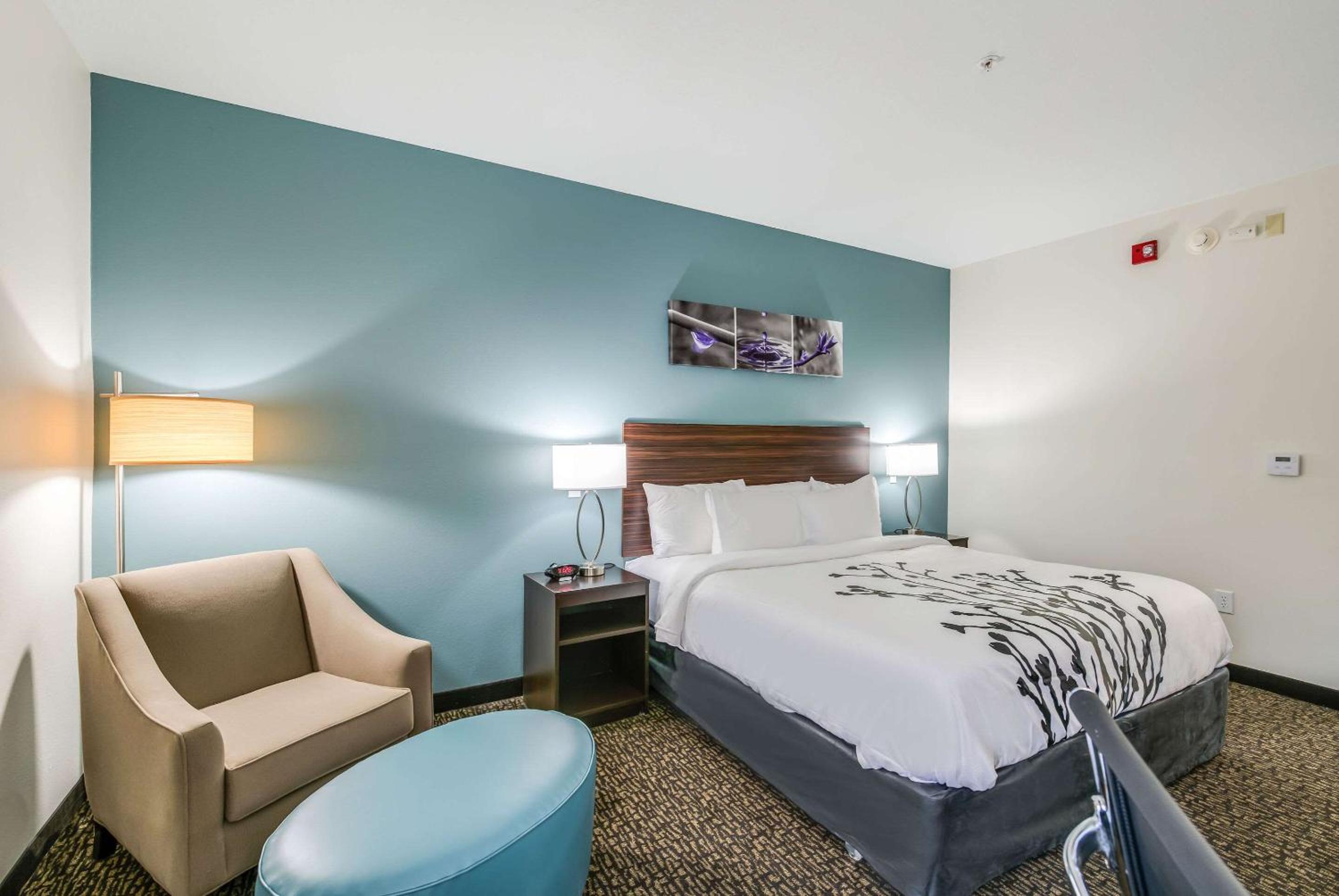 King Room - Accessible/Non Smoking - Photo 3