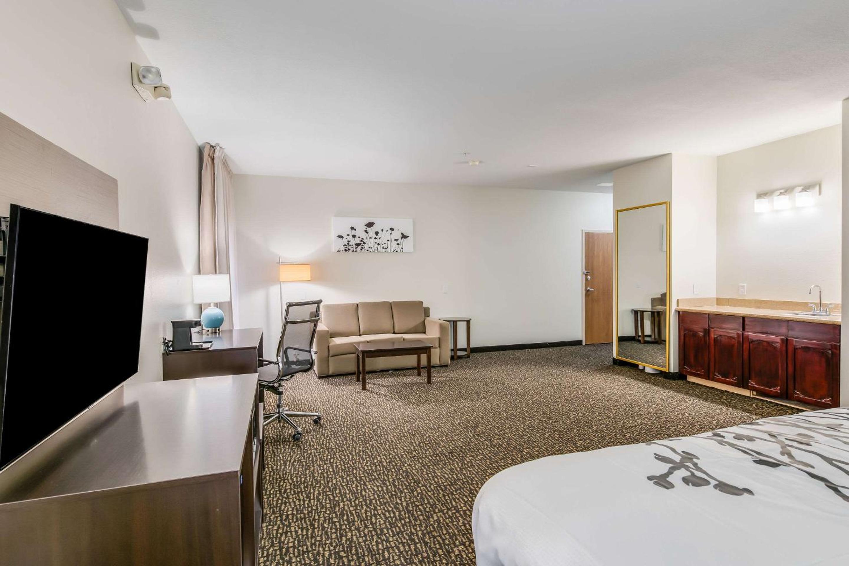 King Suite with Sofa Bed - Non Smoking - Photo 2