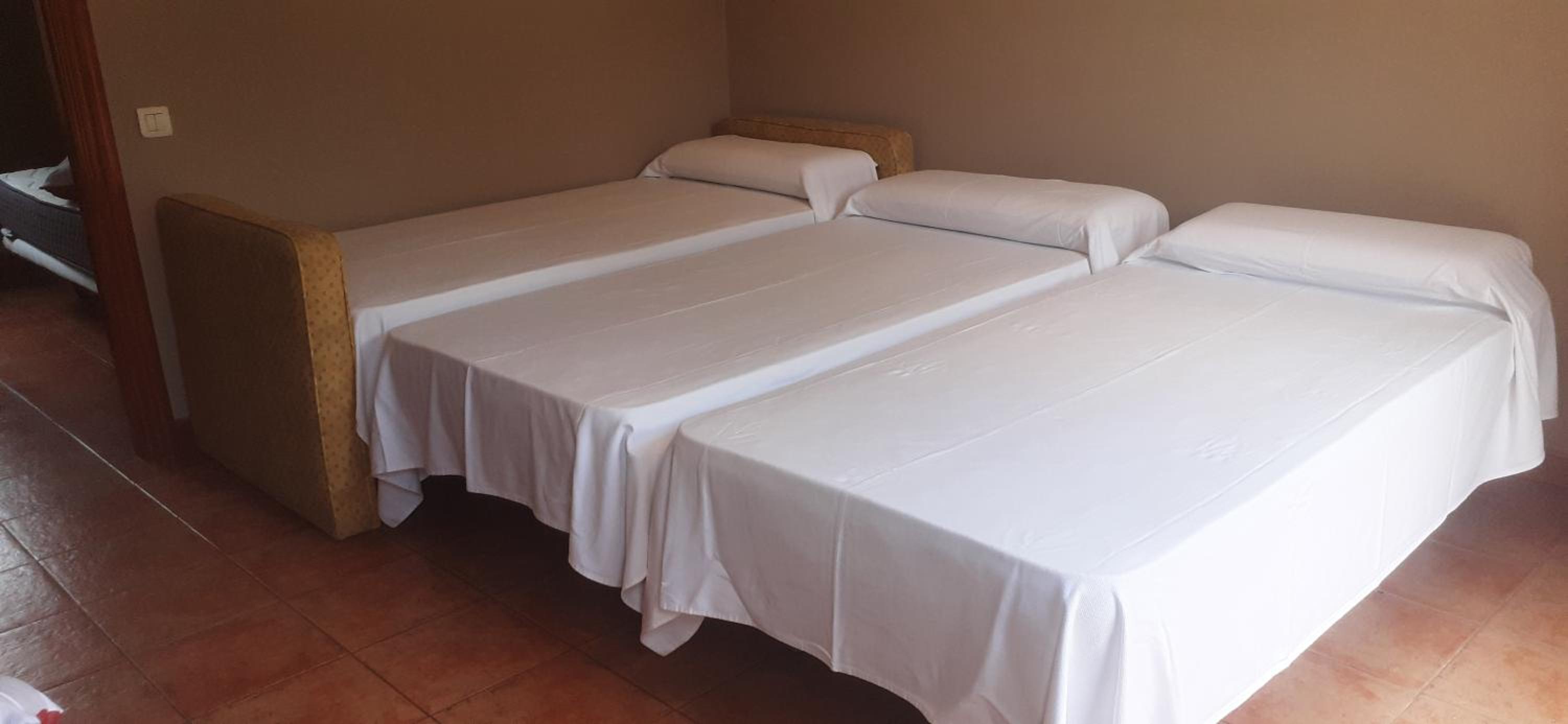 Suite Junior con Terraza