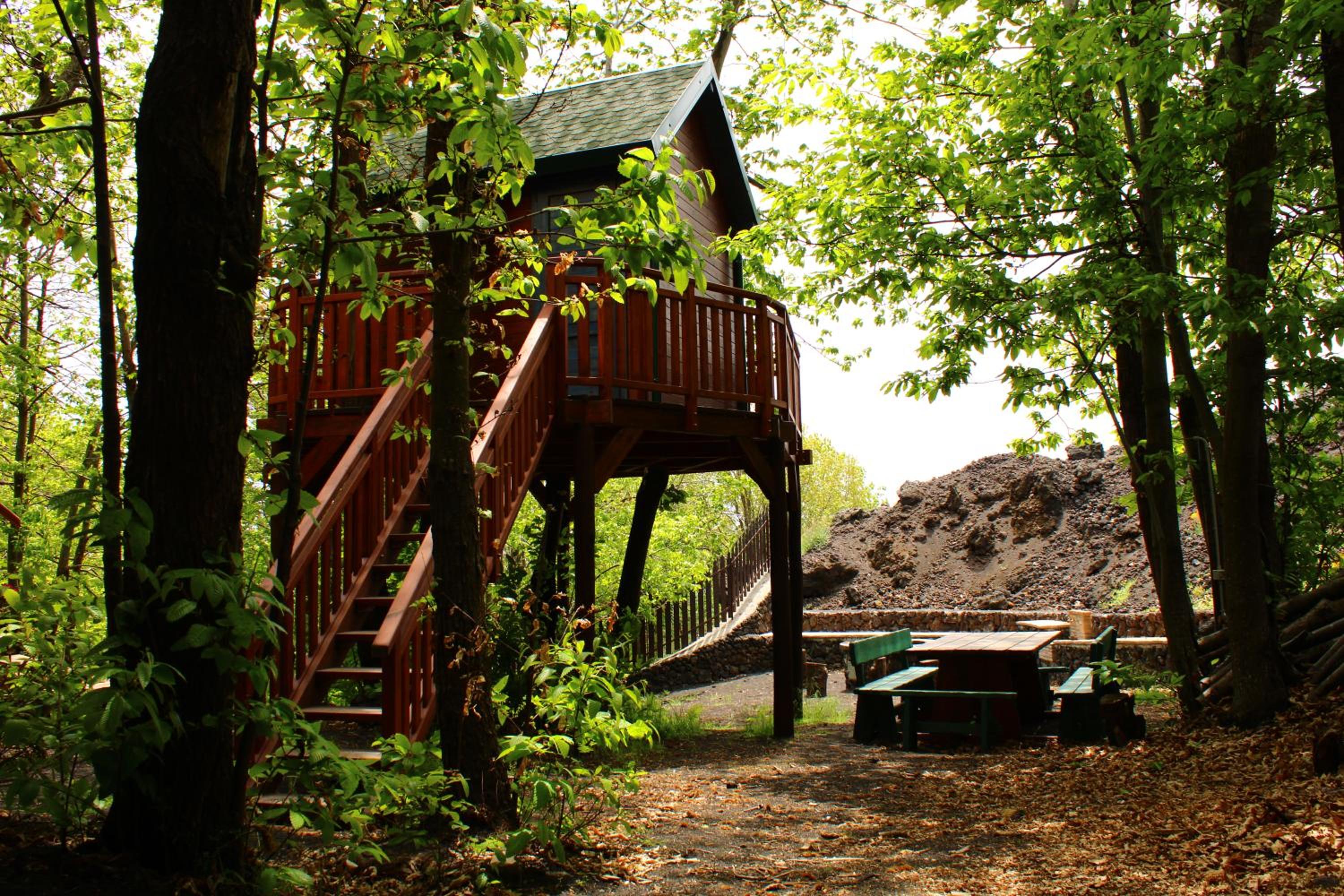 Chalet - Photo 96