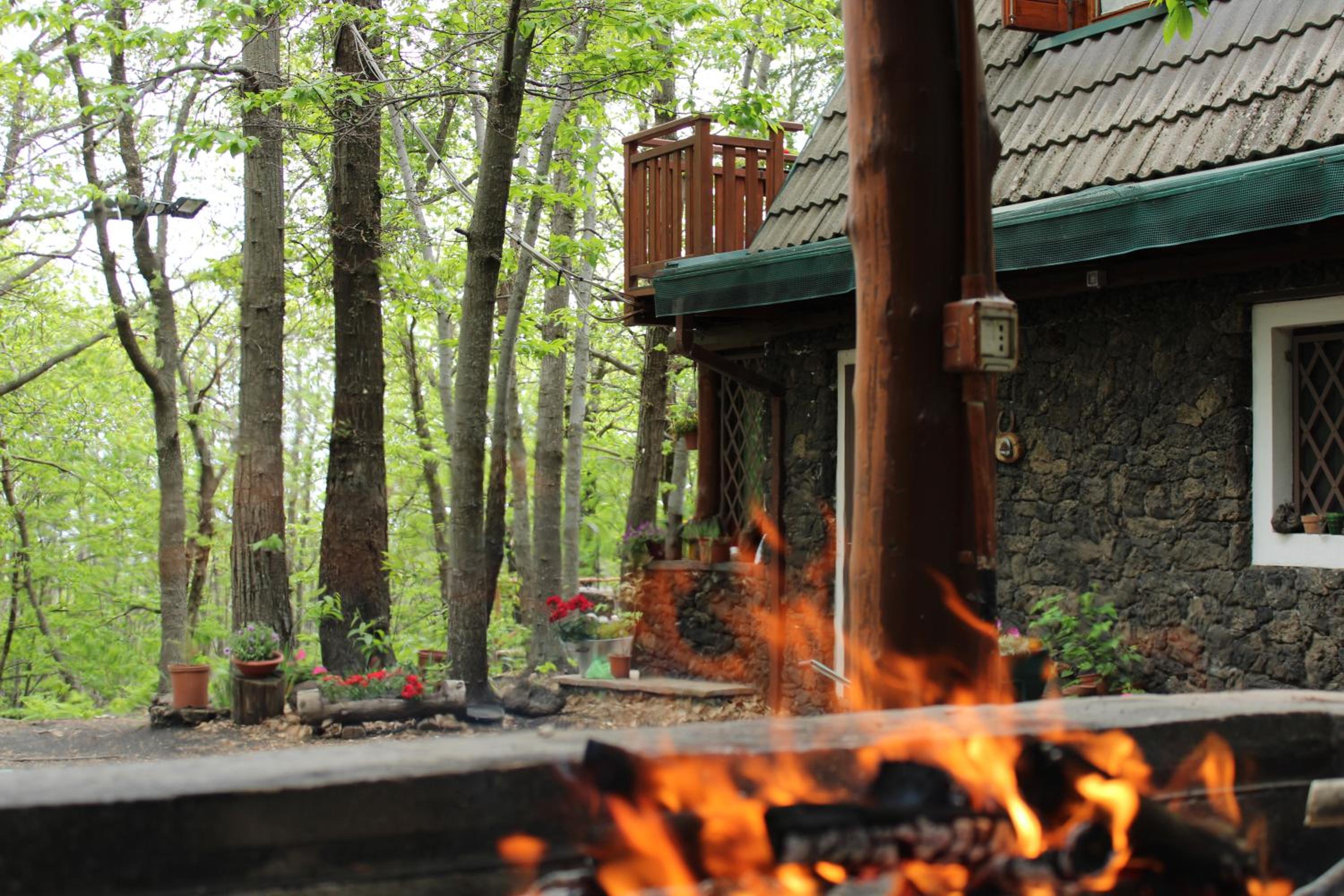 Chalet - Photo 26