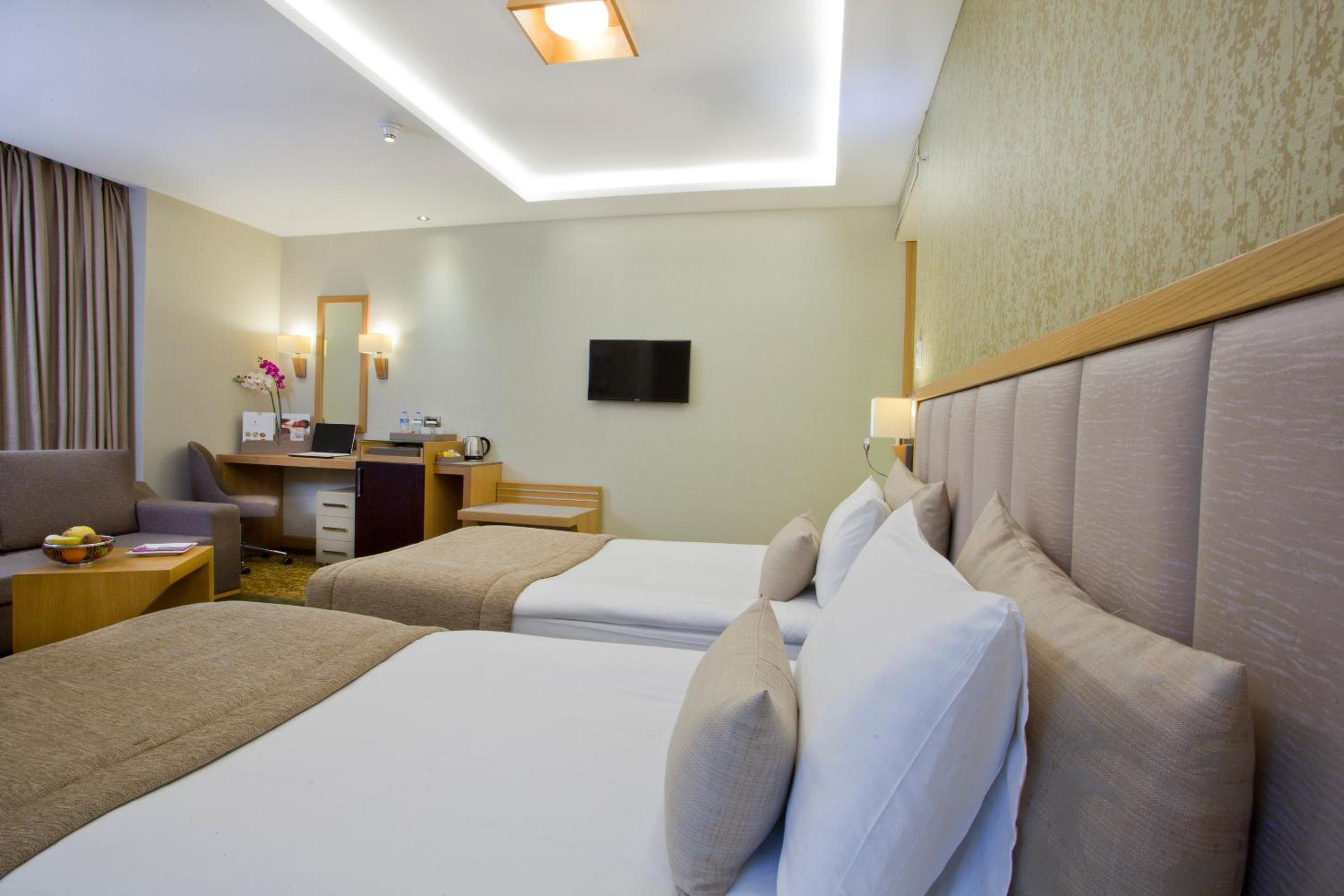 Executive Double Room thumbnail 5