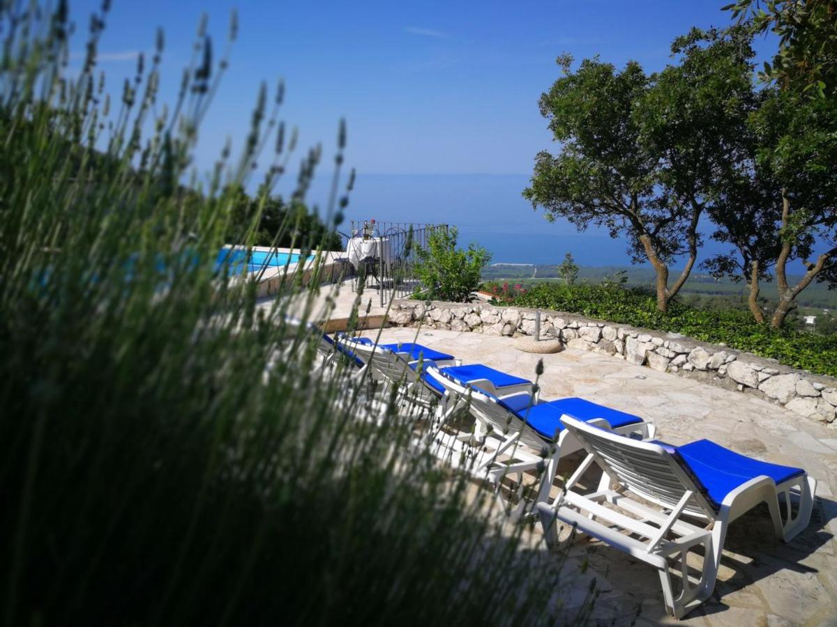 Villa with Sea View photo 2