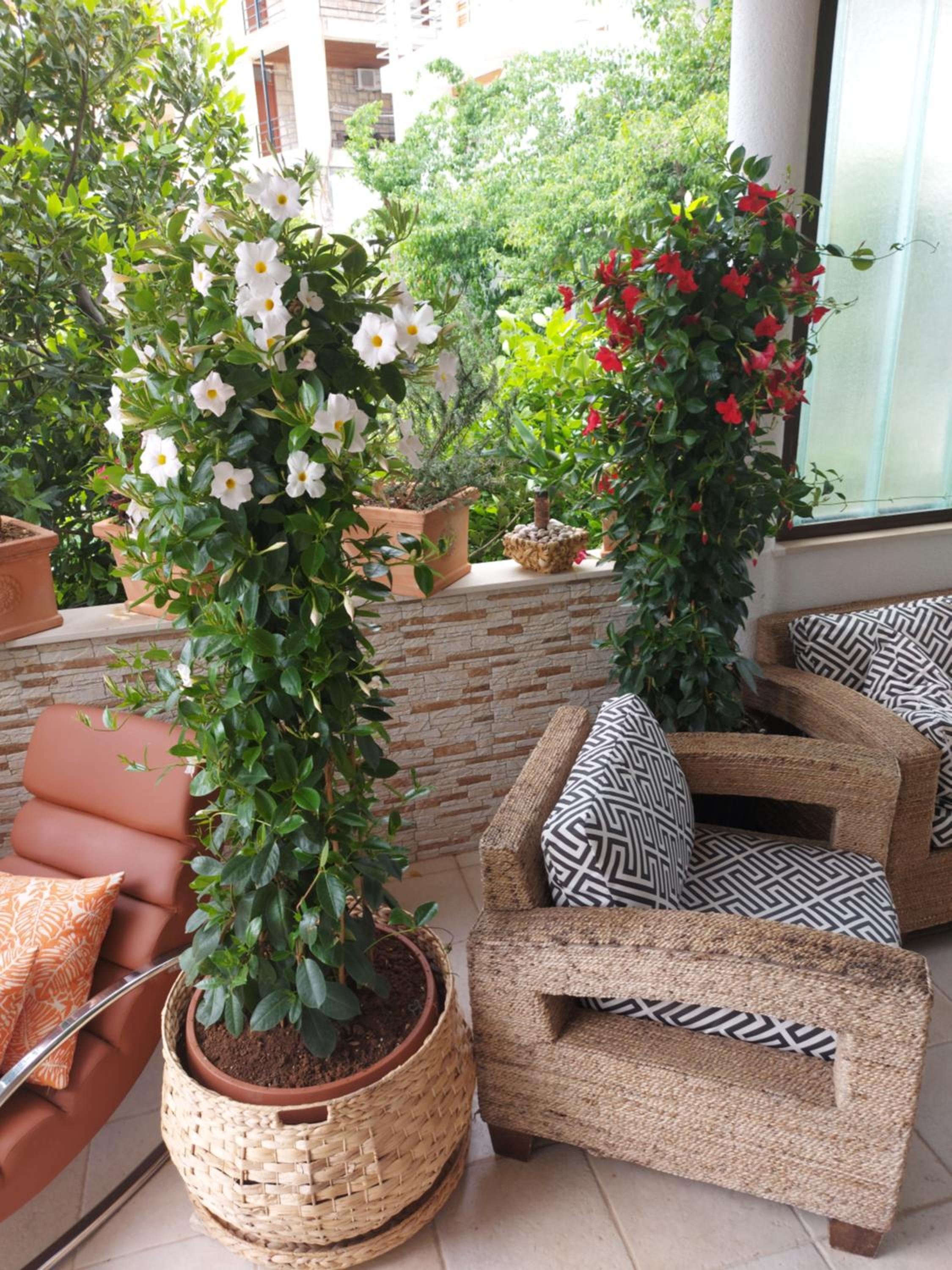 One-Bedroom Apartment - Photo 4