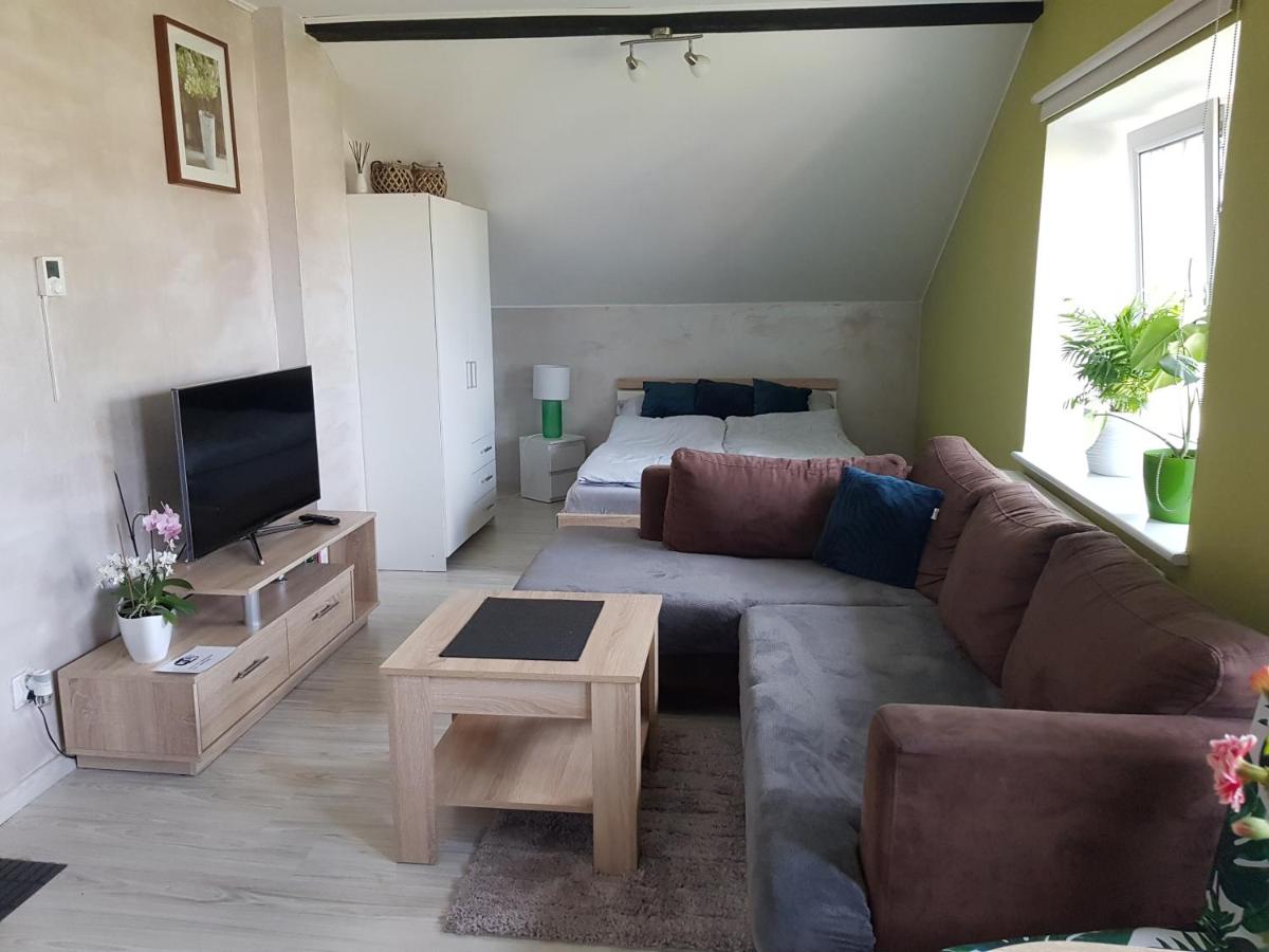 Studio Apartment - Photo 3