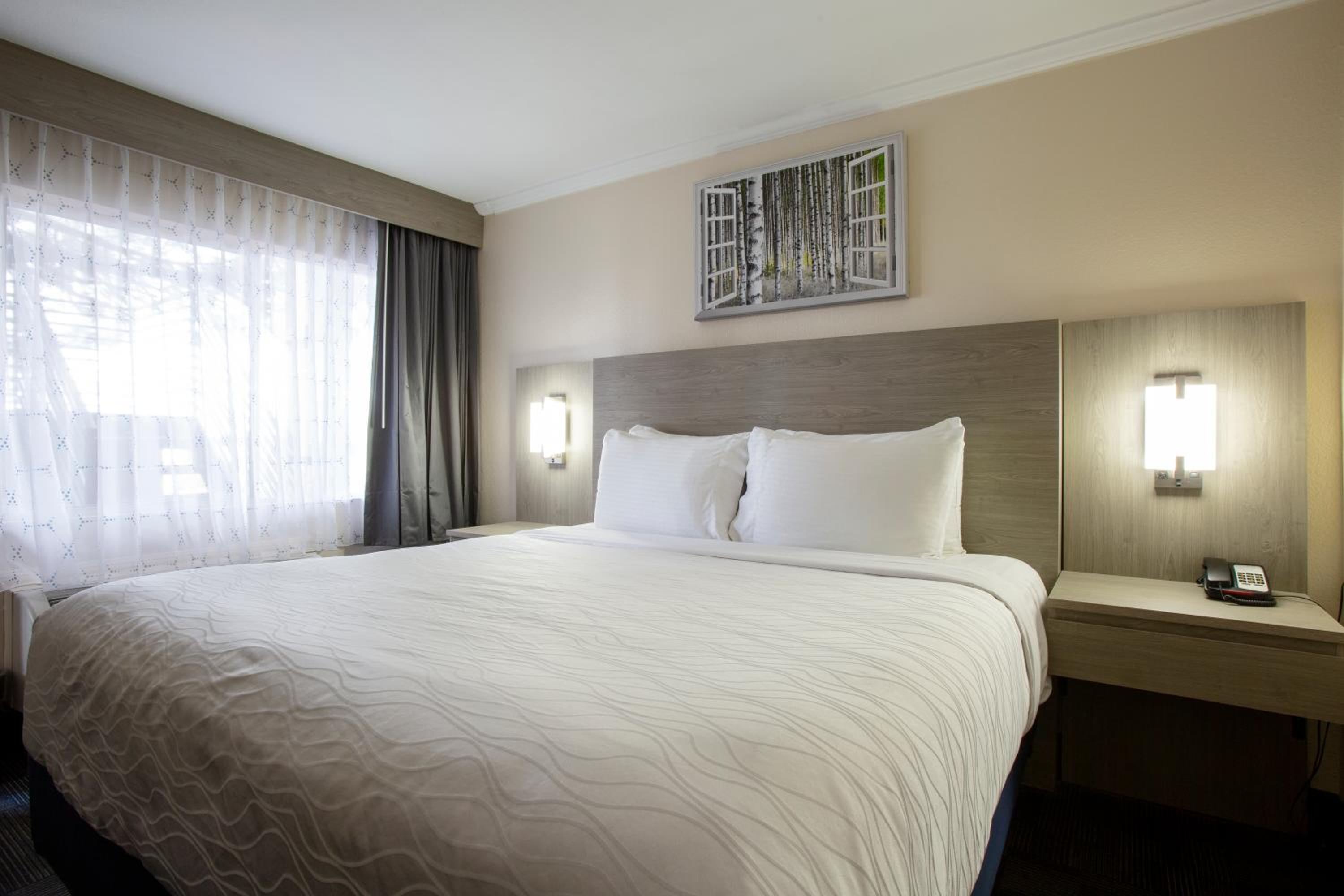 King Room at Hotel Aspen Flagstaff/ Grand Canyon InnSuites in Flagstaff