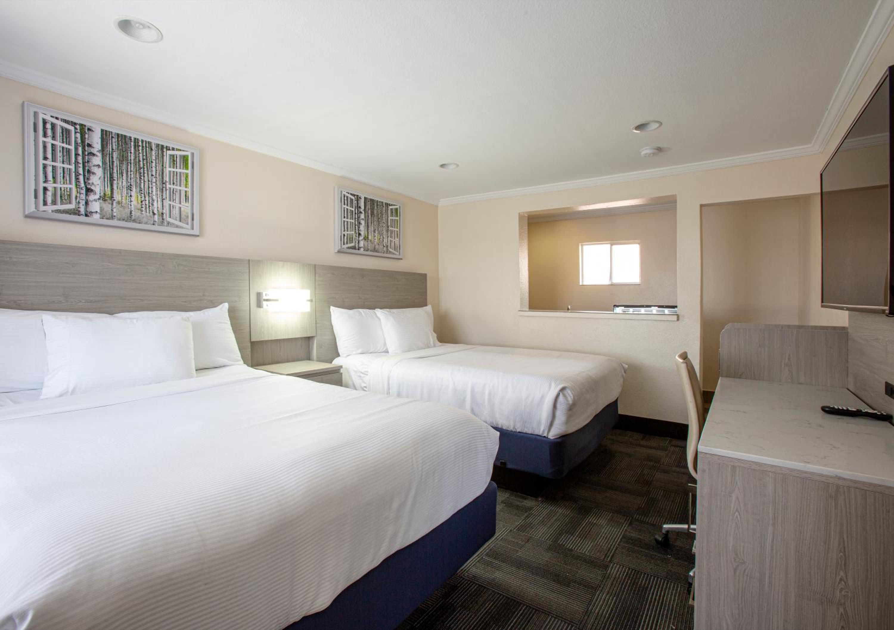 Family Suite photo 1