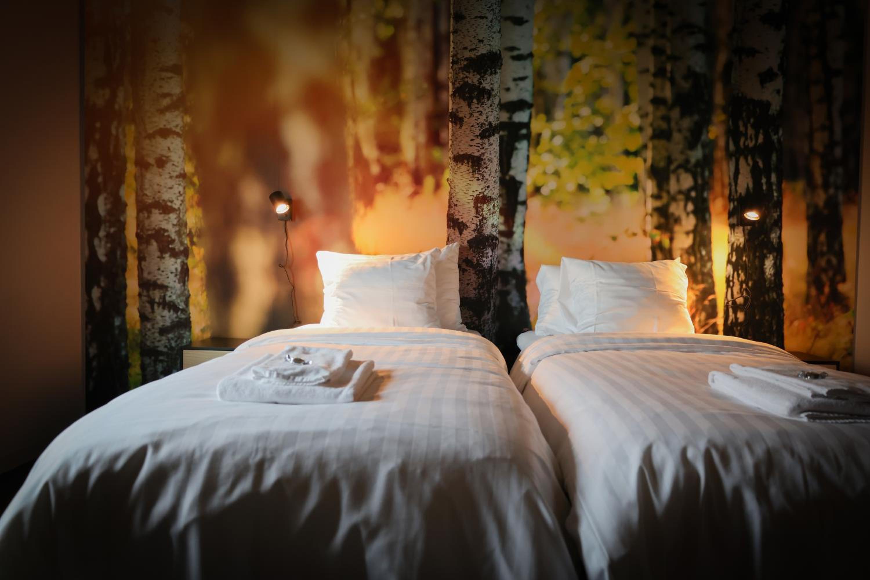 Standard Twin Room - Photo 3