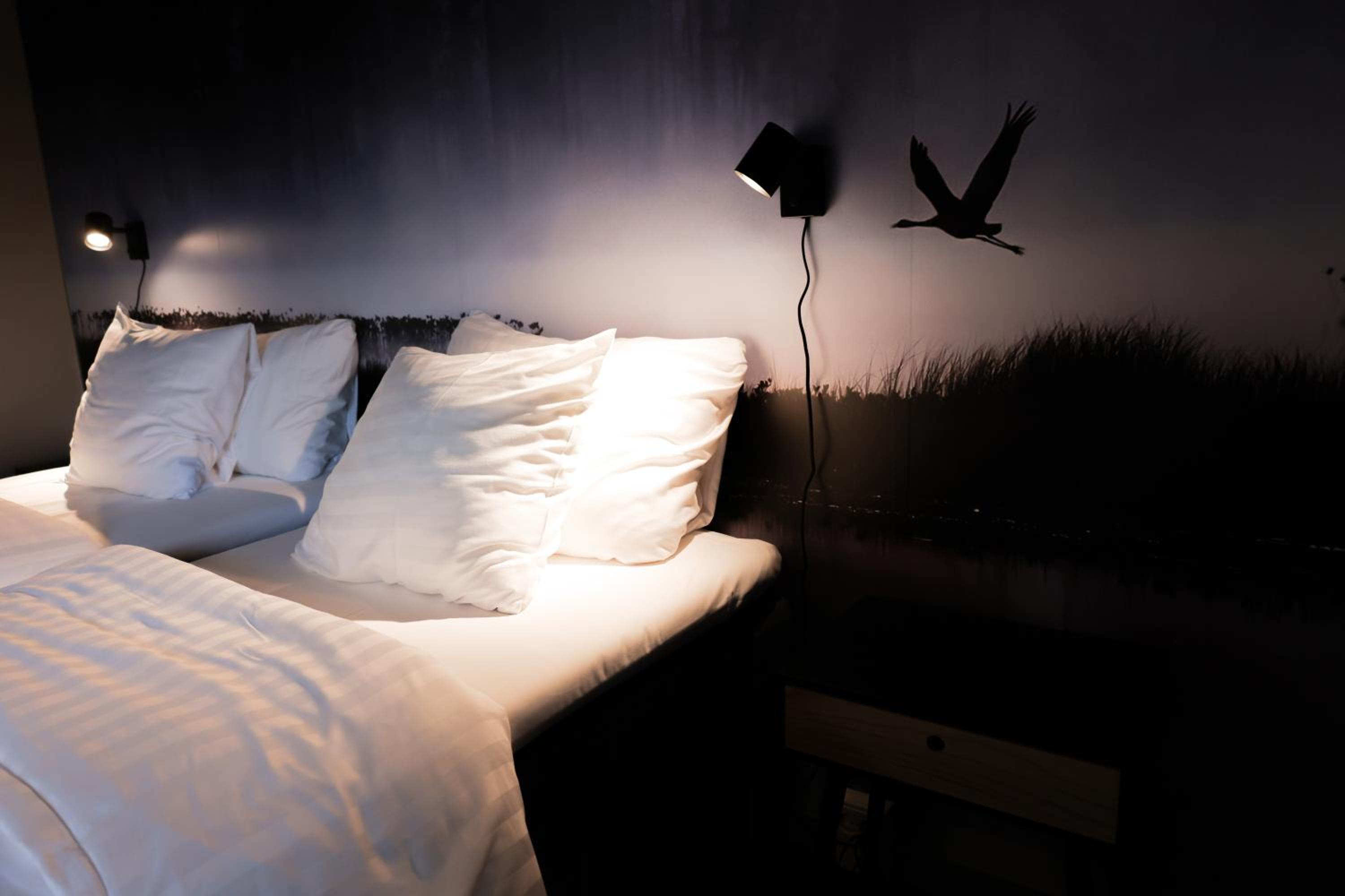 Standard Twin Room - Photo 9