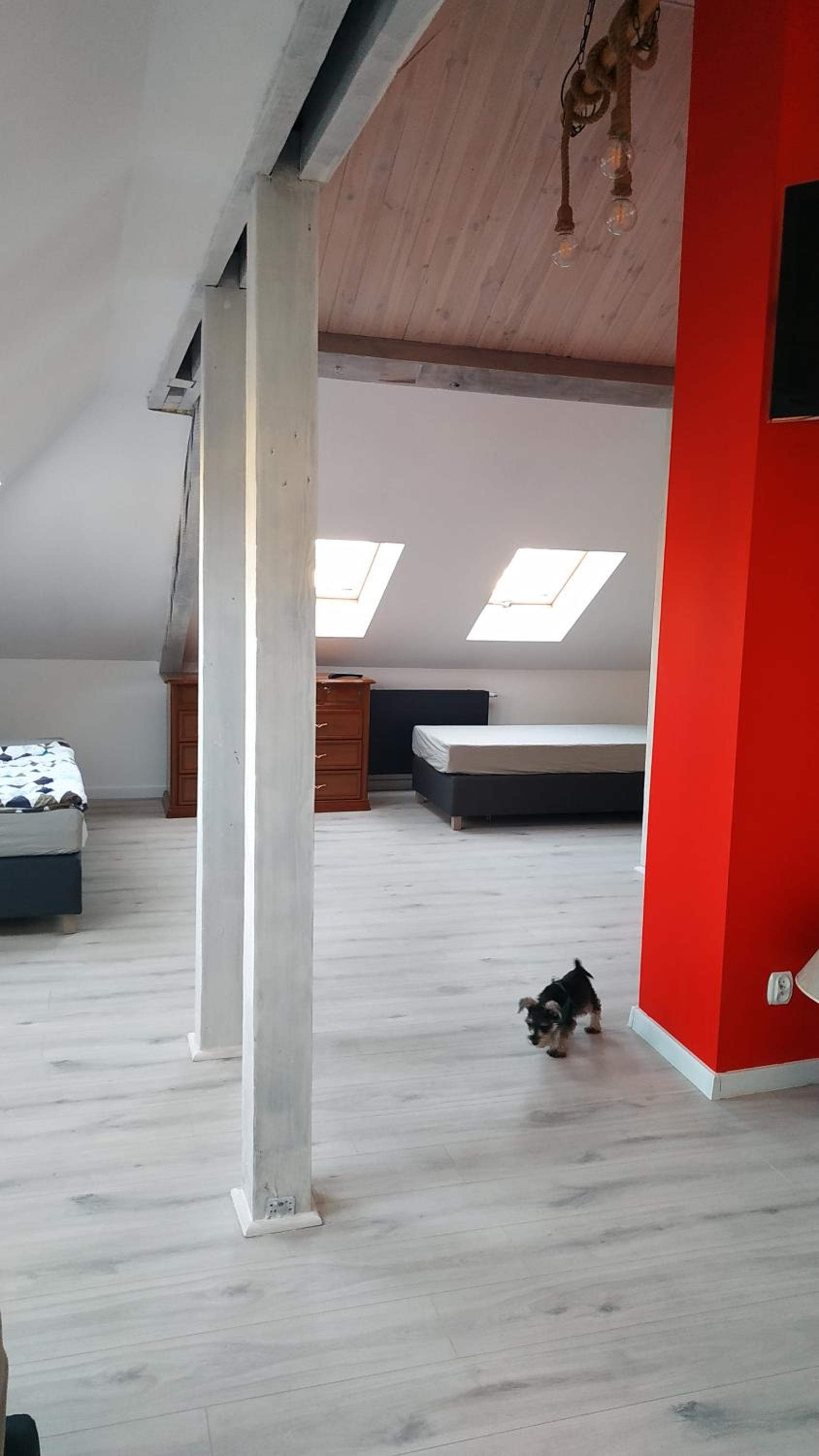One-Bedroom Apartment photo 2