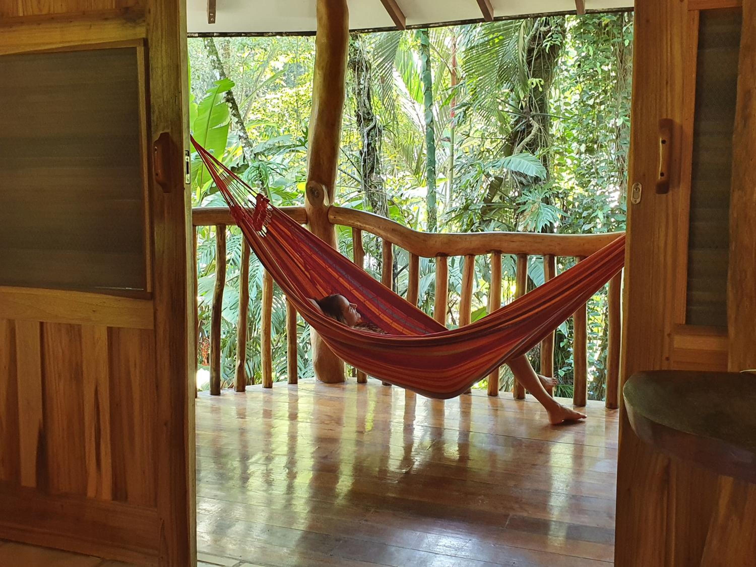 Superior King Double Room with Jungle View - Photo 2