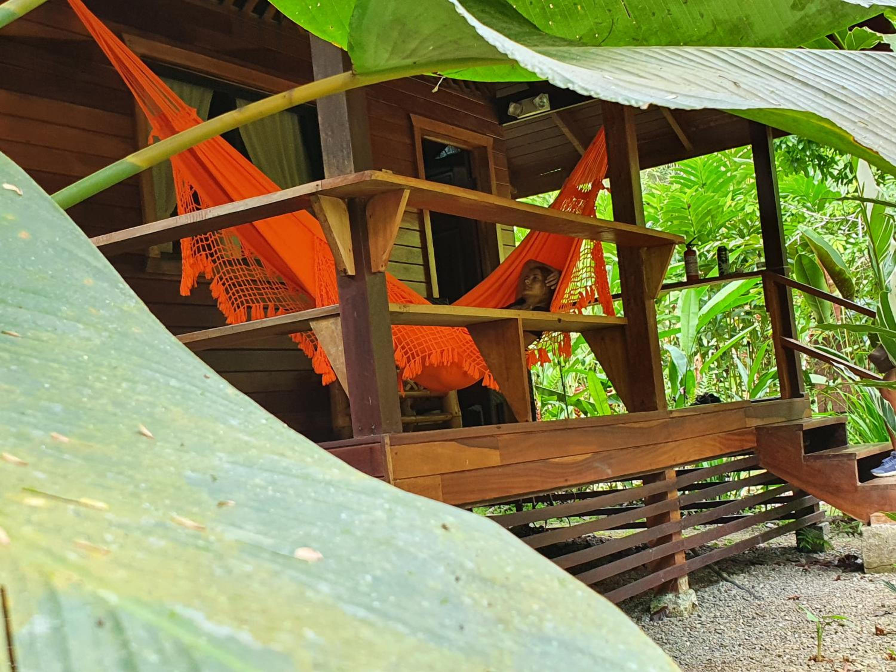 King Bungalow with Jungle View - Photo 10