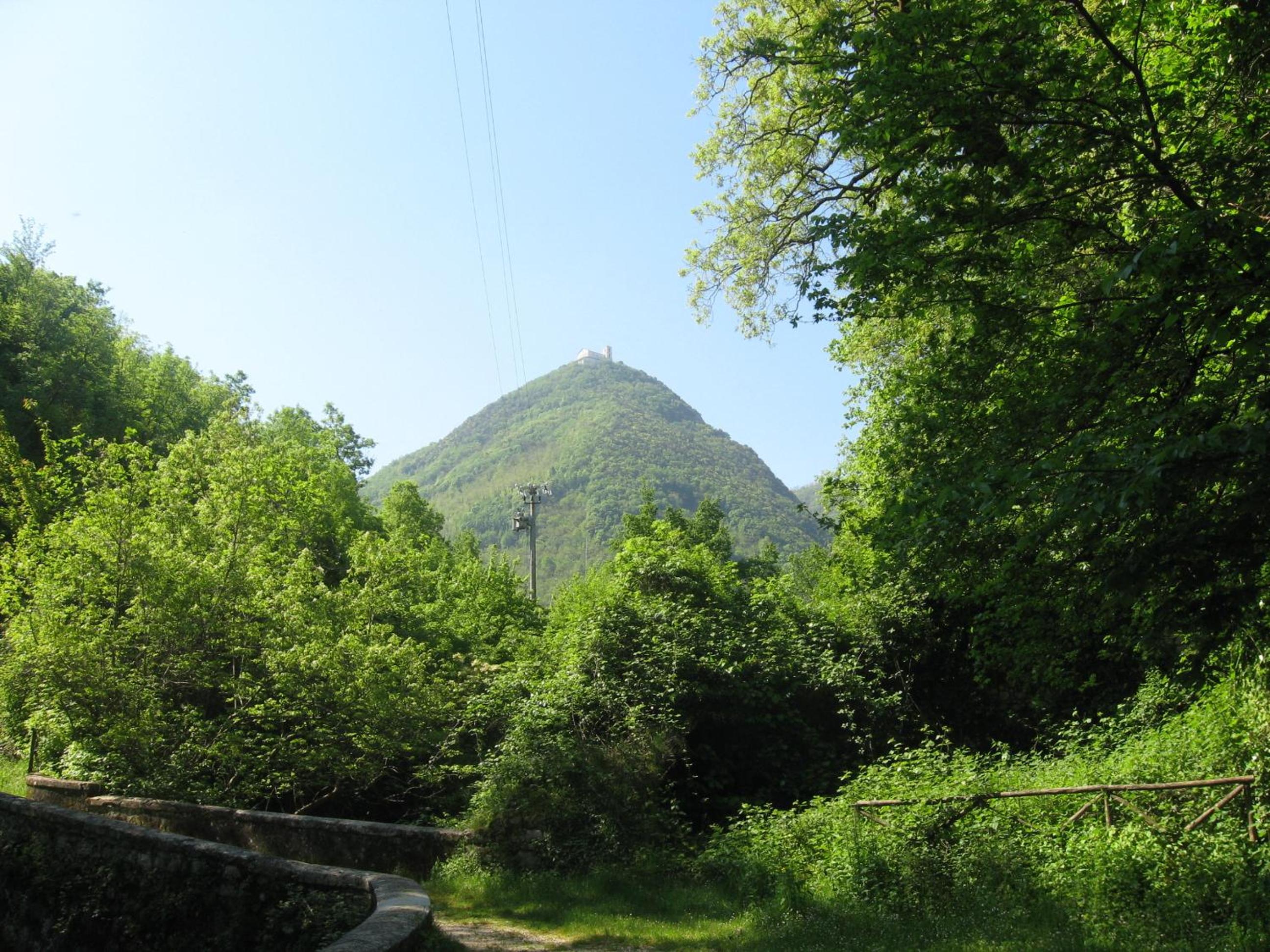 Studio with Mountain View - Photo 26