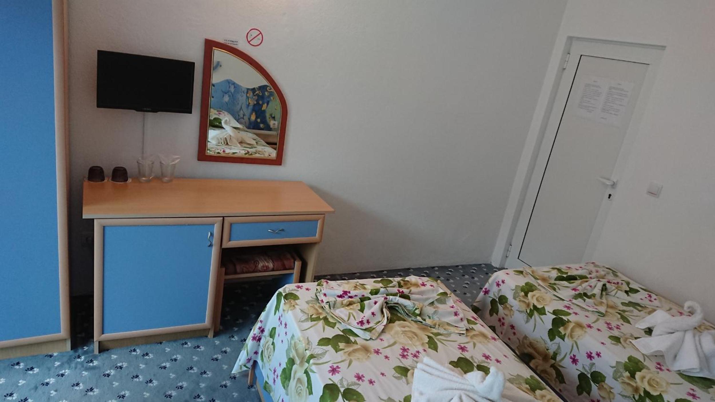 Deluxe Double or Twin Room photo 2