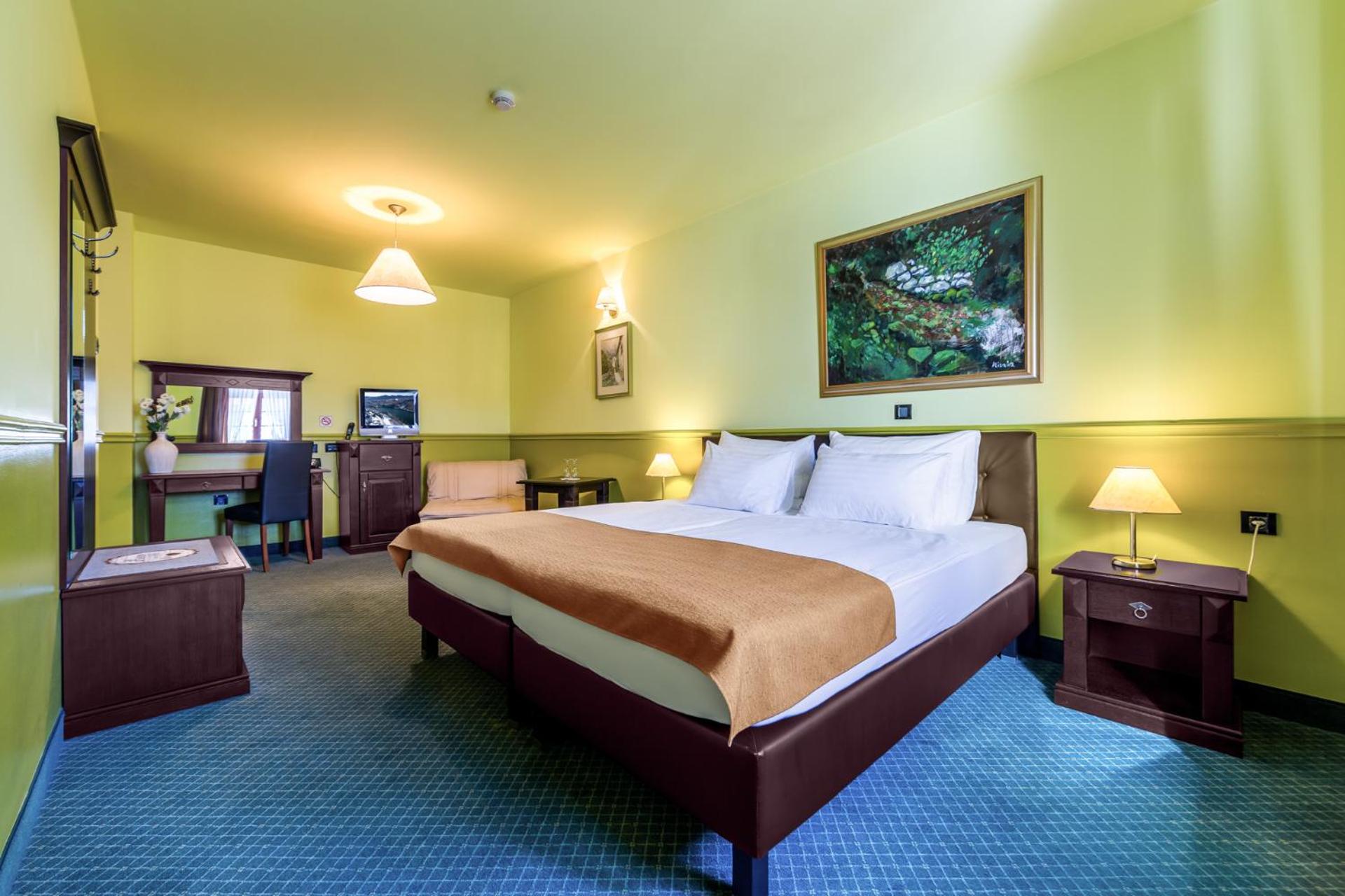 Double or Twin Room with Mountain View - Photo 6