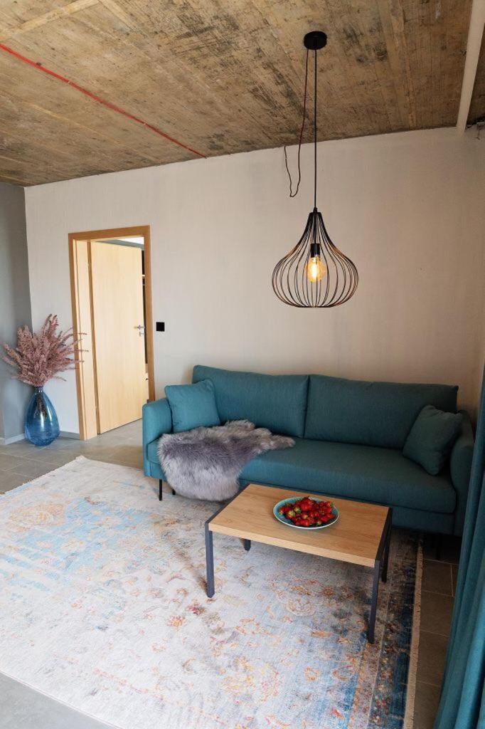 Deluxe Apartment photo 3