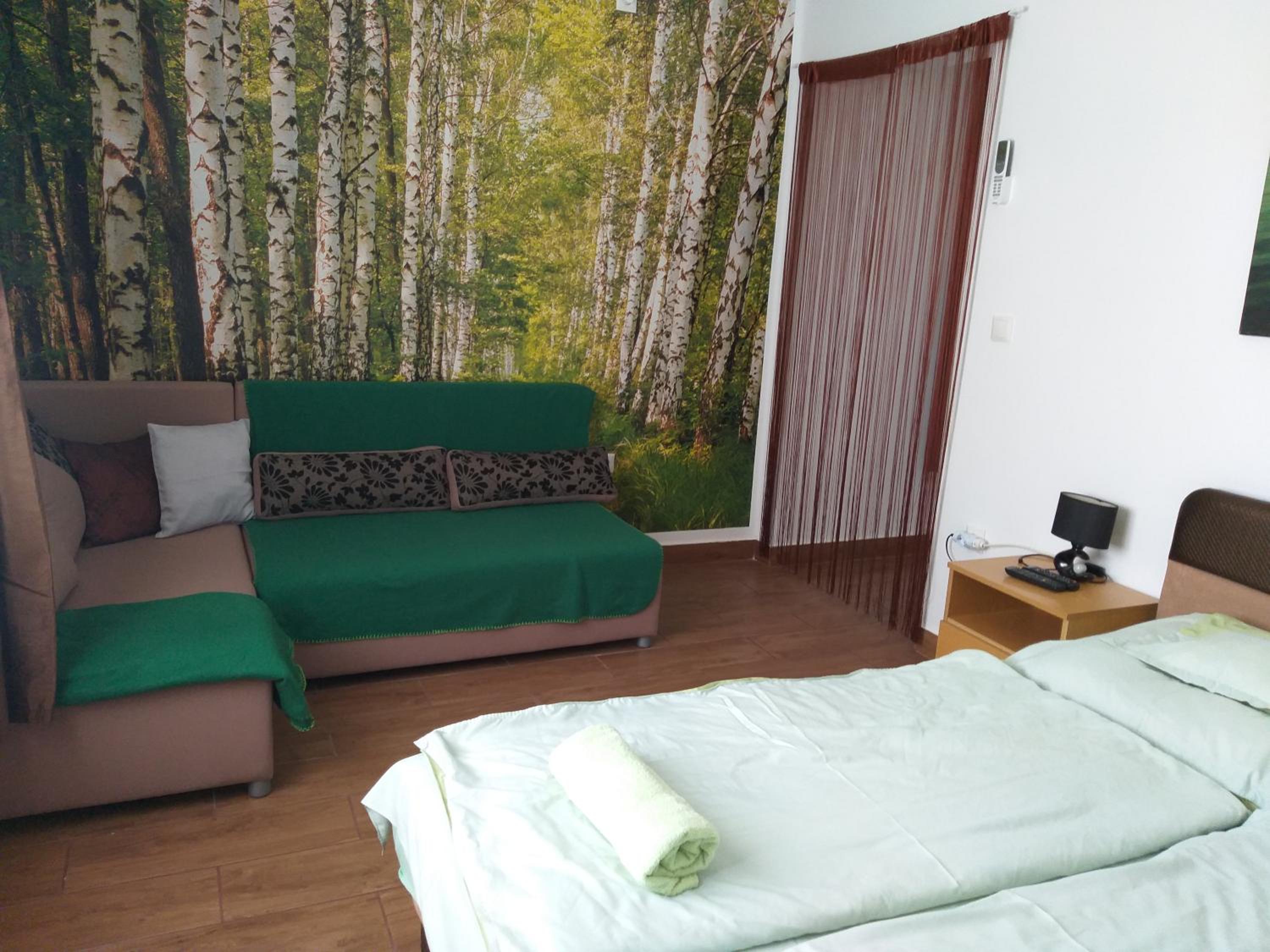 One-Bedroom House photo 1