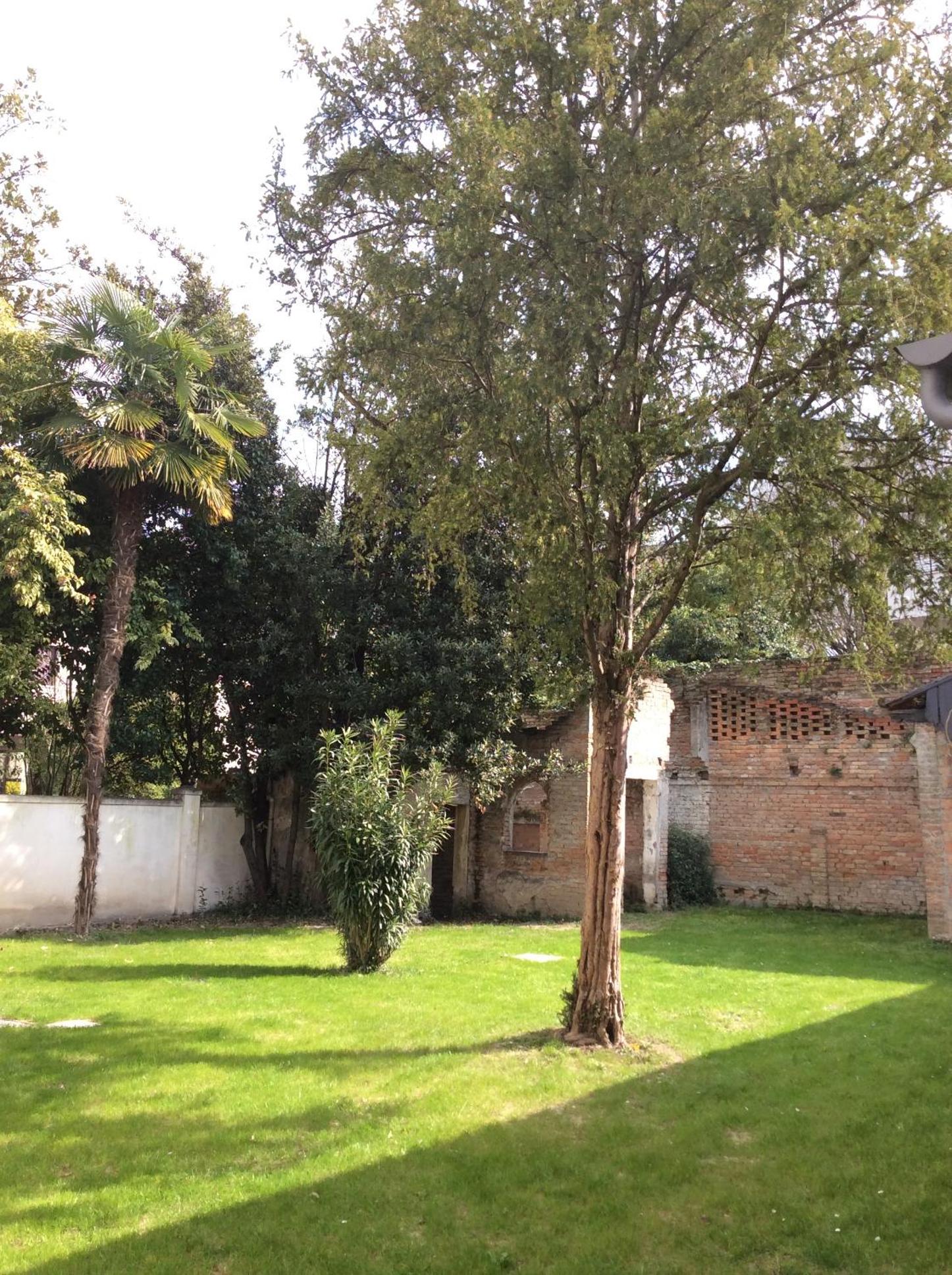 Deluxe Double or Twin Room with Garden View photo 3