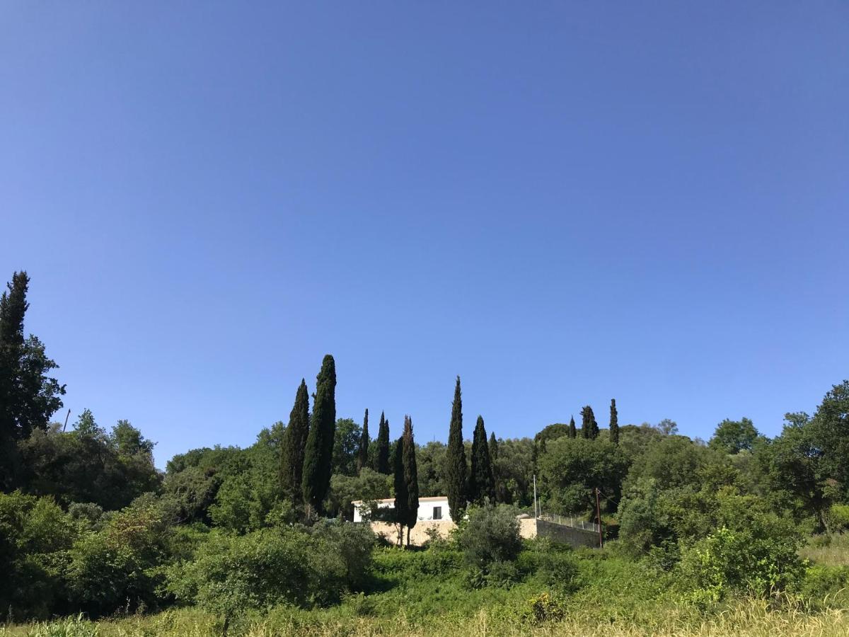 Villa with Private Pool photo 2