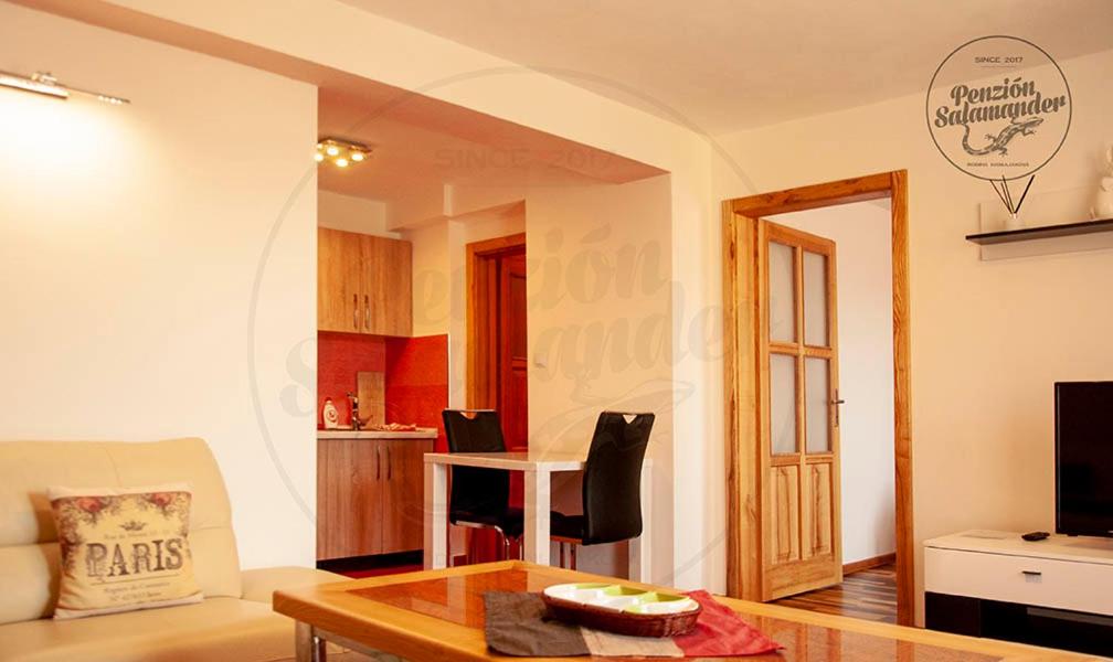 Apartment with Mountain View