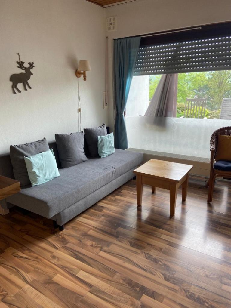 One-Bedroom Apartment photo 3