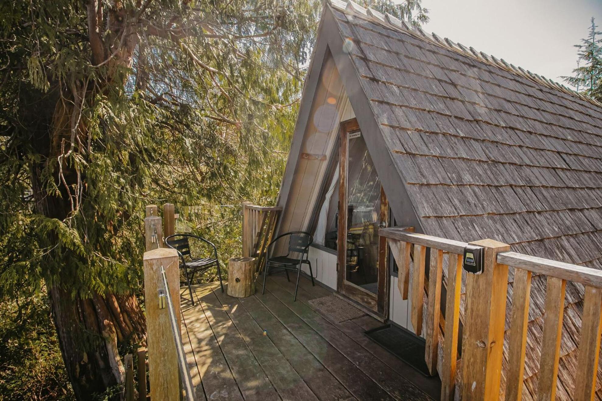 Cabin Suite 3 - Not Pet Friendly  photo 3