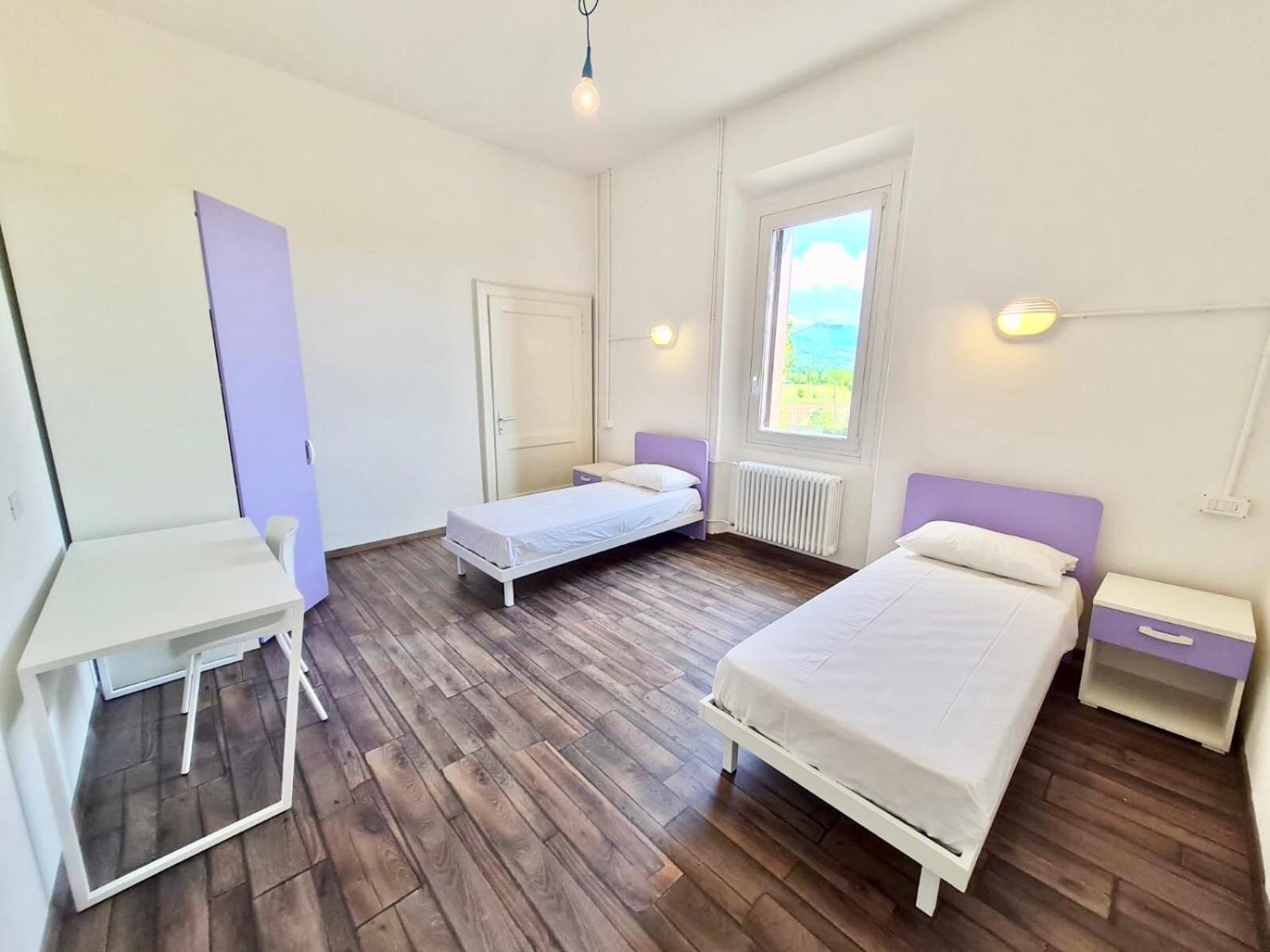 Twin Room photo 1