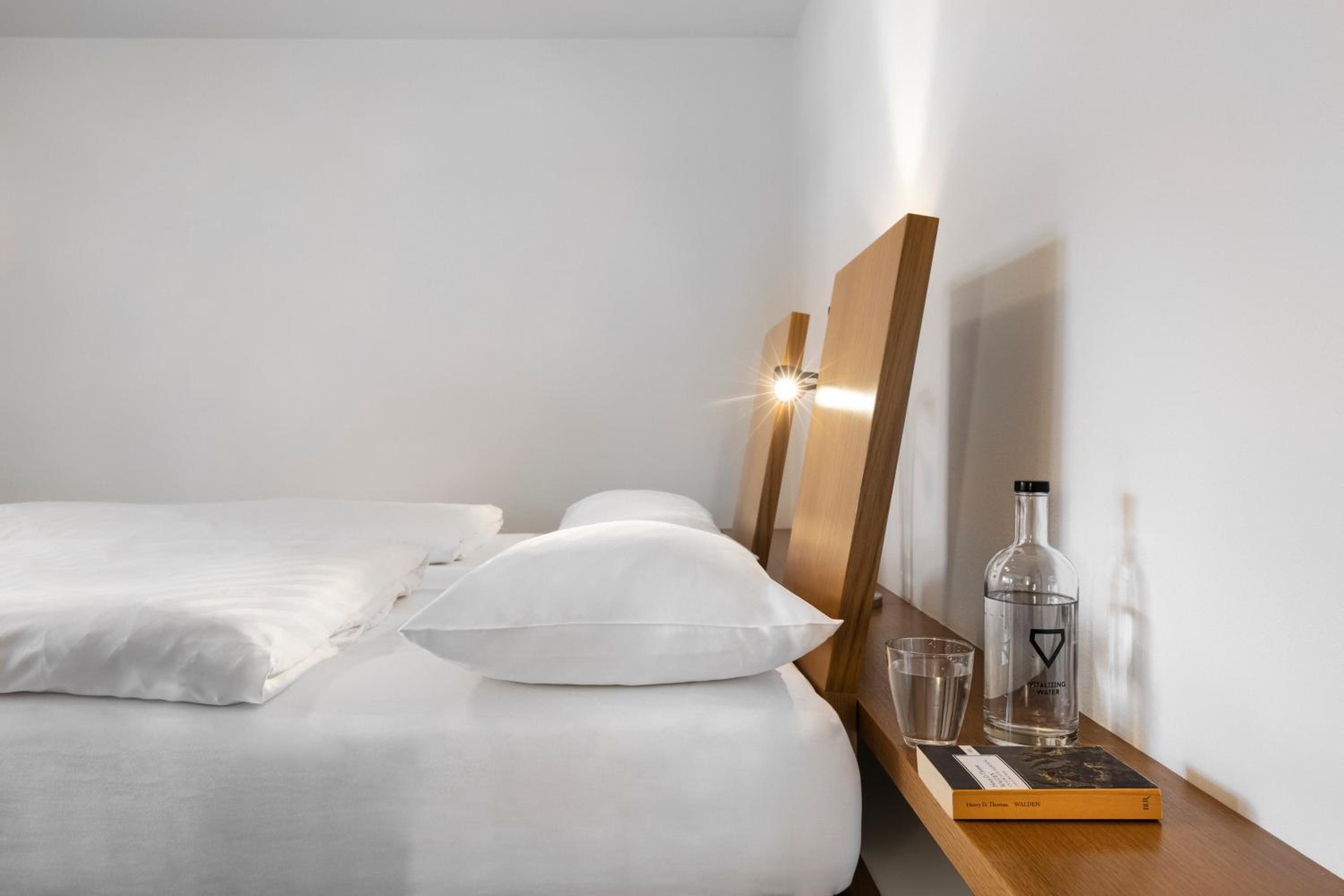 Superior Double or Twin Room with Mountain View photo 3