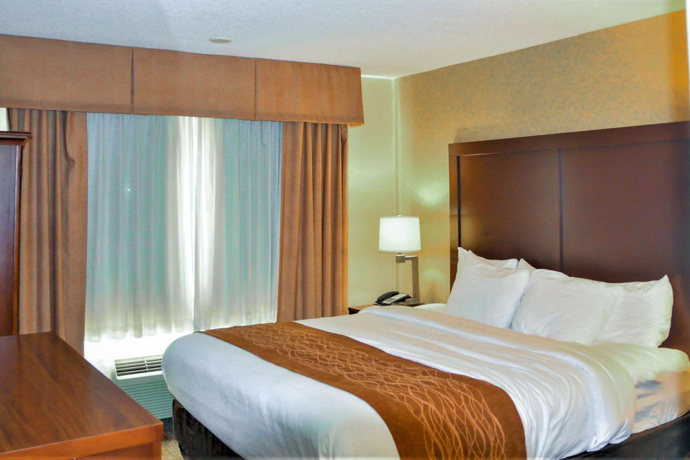 King Suite with Sofa Bed - Photo 5