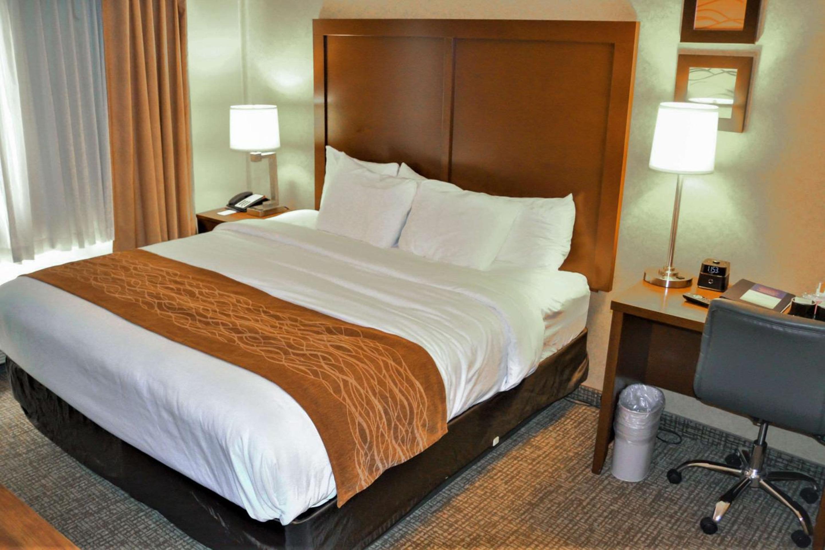 King Suite with Sofa Bed - Photo 8