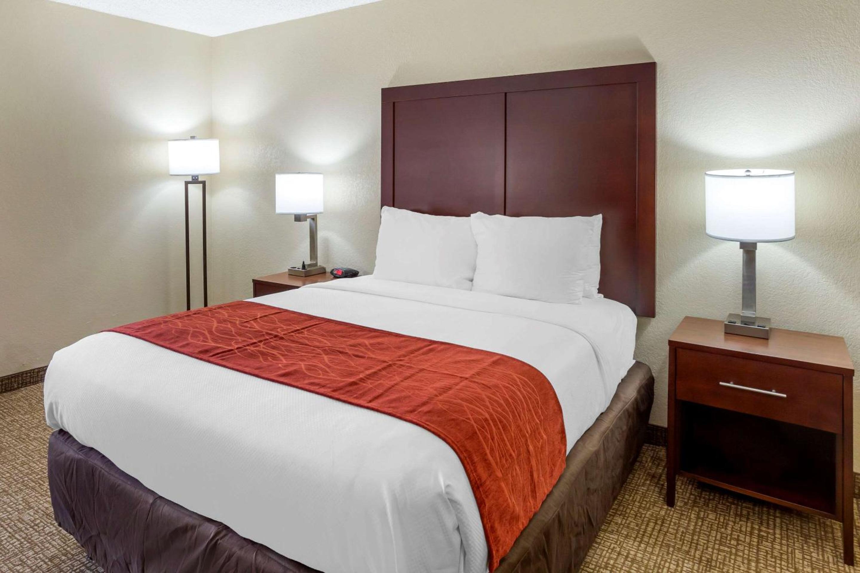 Queen Room with Roll-In Shower - Accessible/Non-Smoking - Photo 1