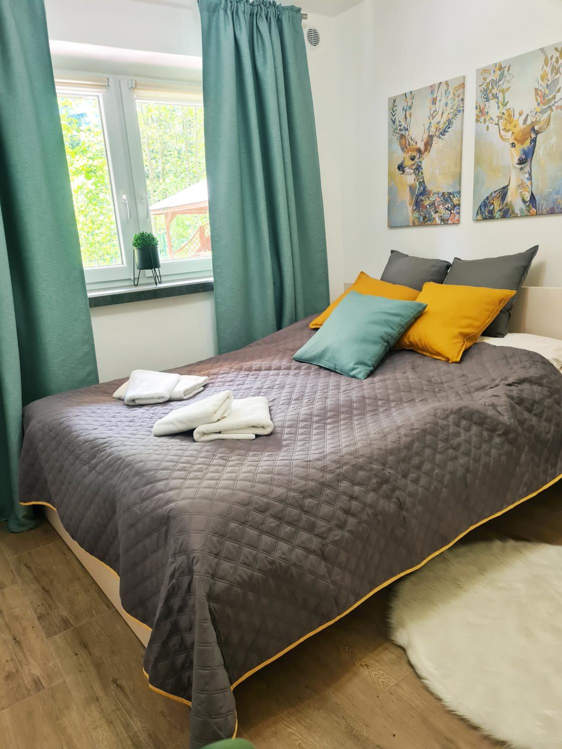 Studio Apartment photo 1