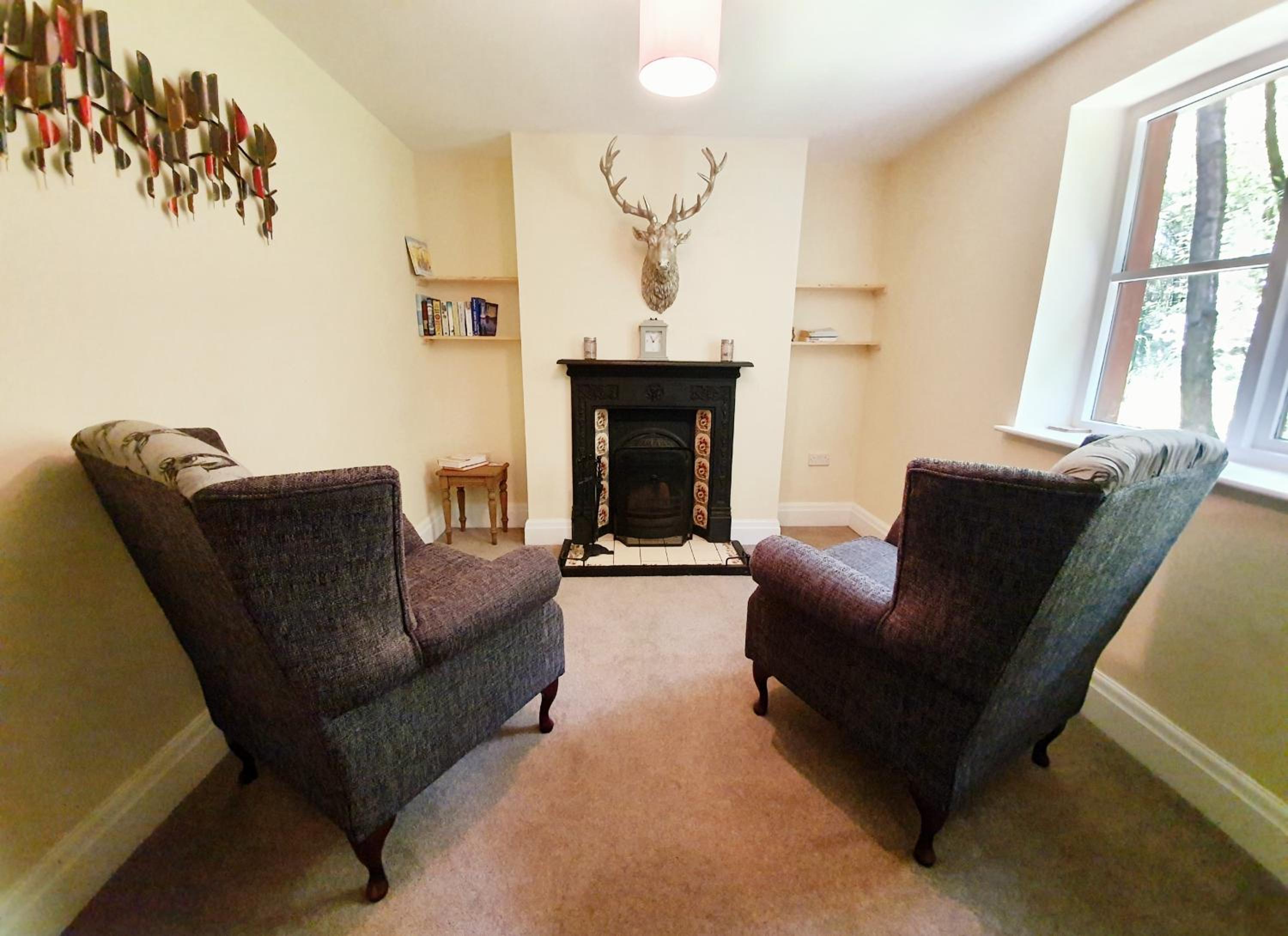 Woodland 3 bed Chalet with hot tub - Photo 2