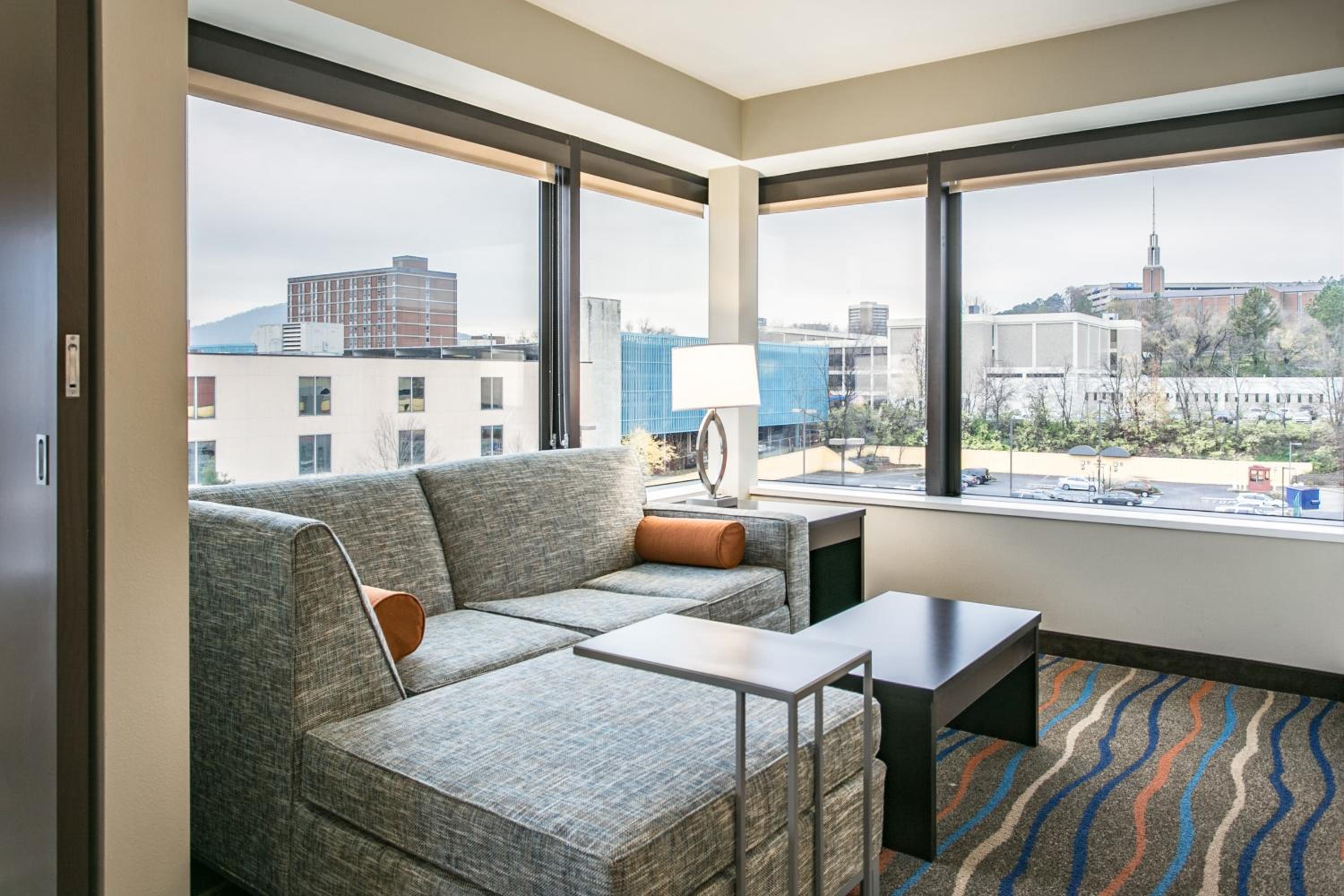 King Suite with Sofa Bed
