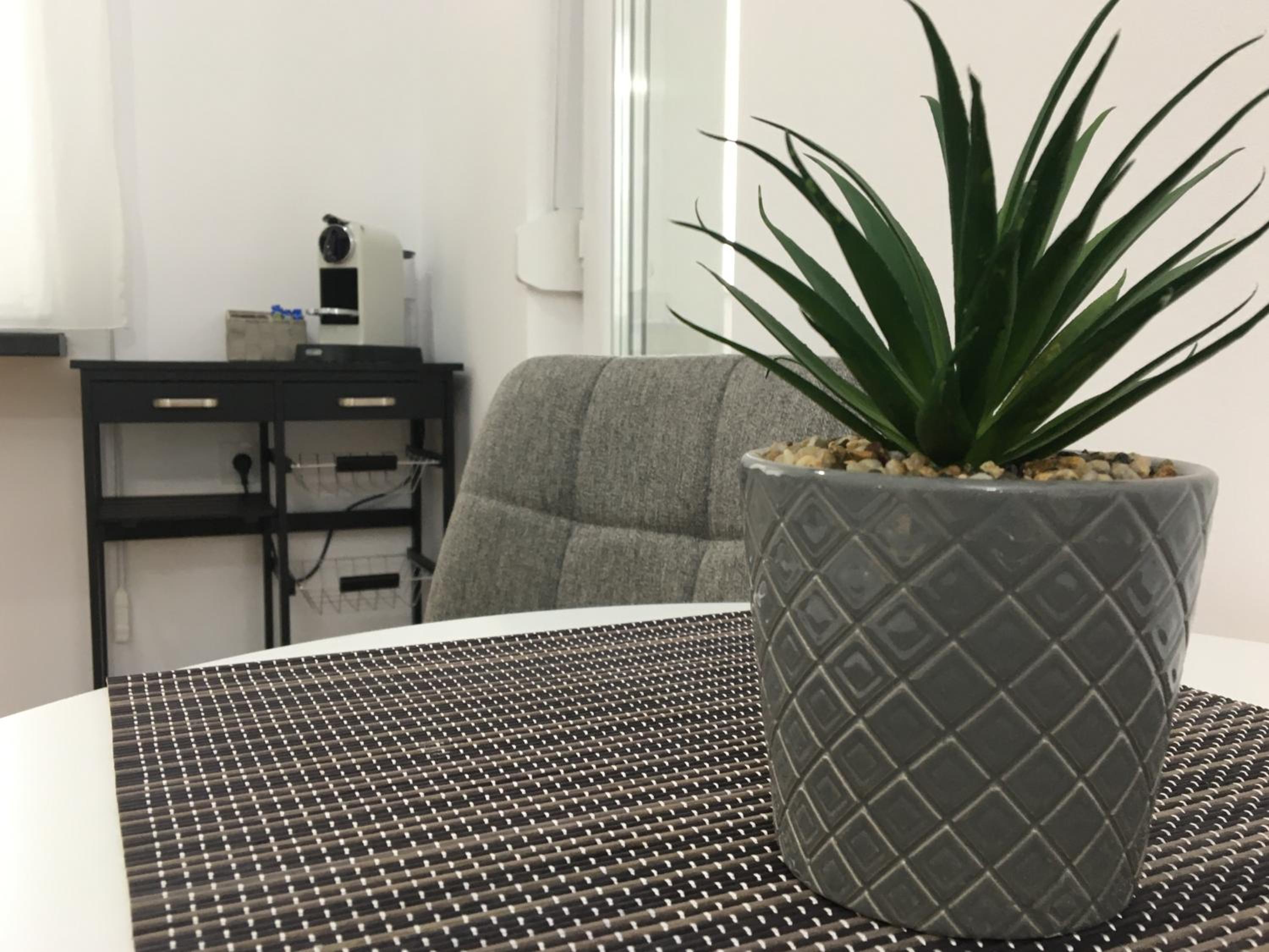 Superior Apartment - Photo 6