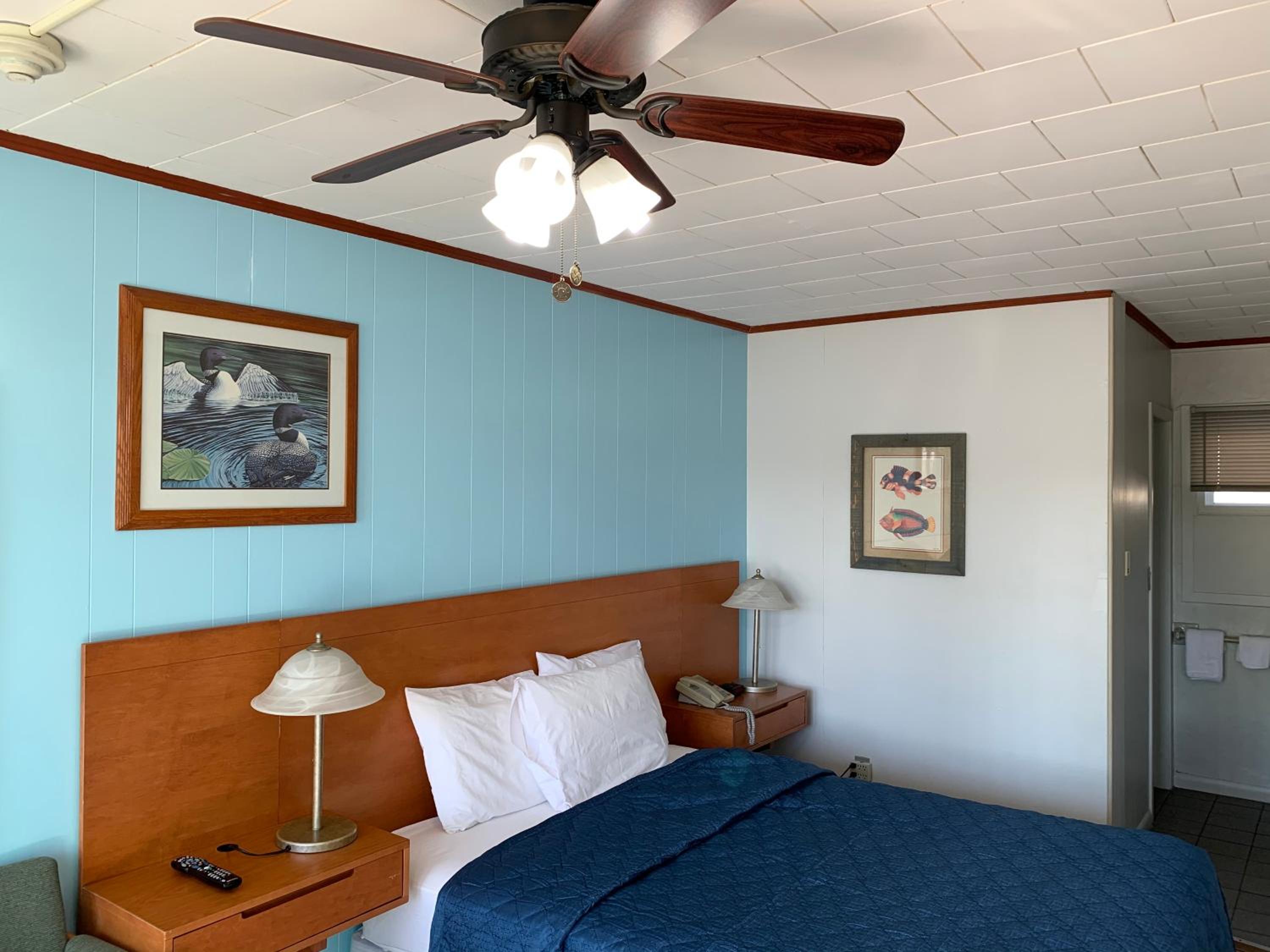 Standard Queen Room photo 1