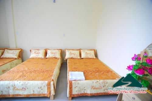 Double or Twin Room photo 1