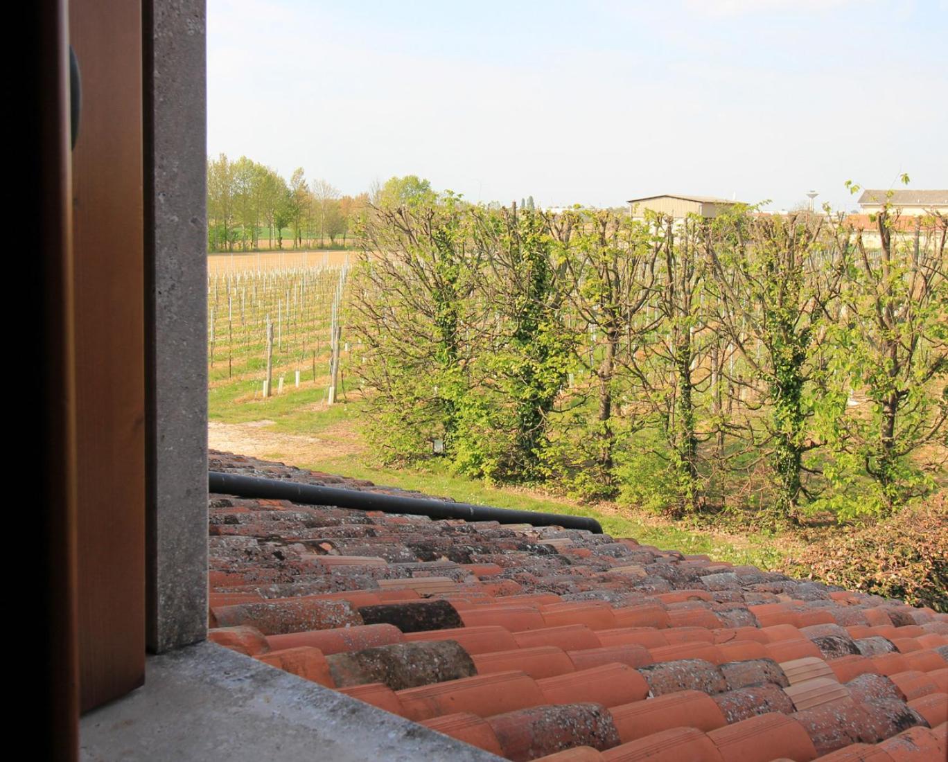 Maisonette photo 3