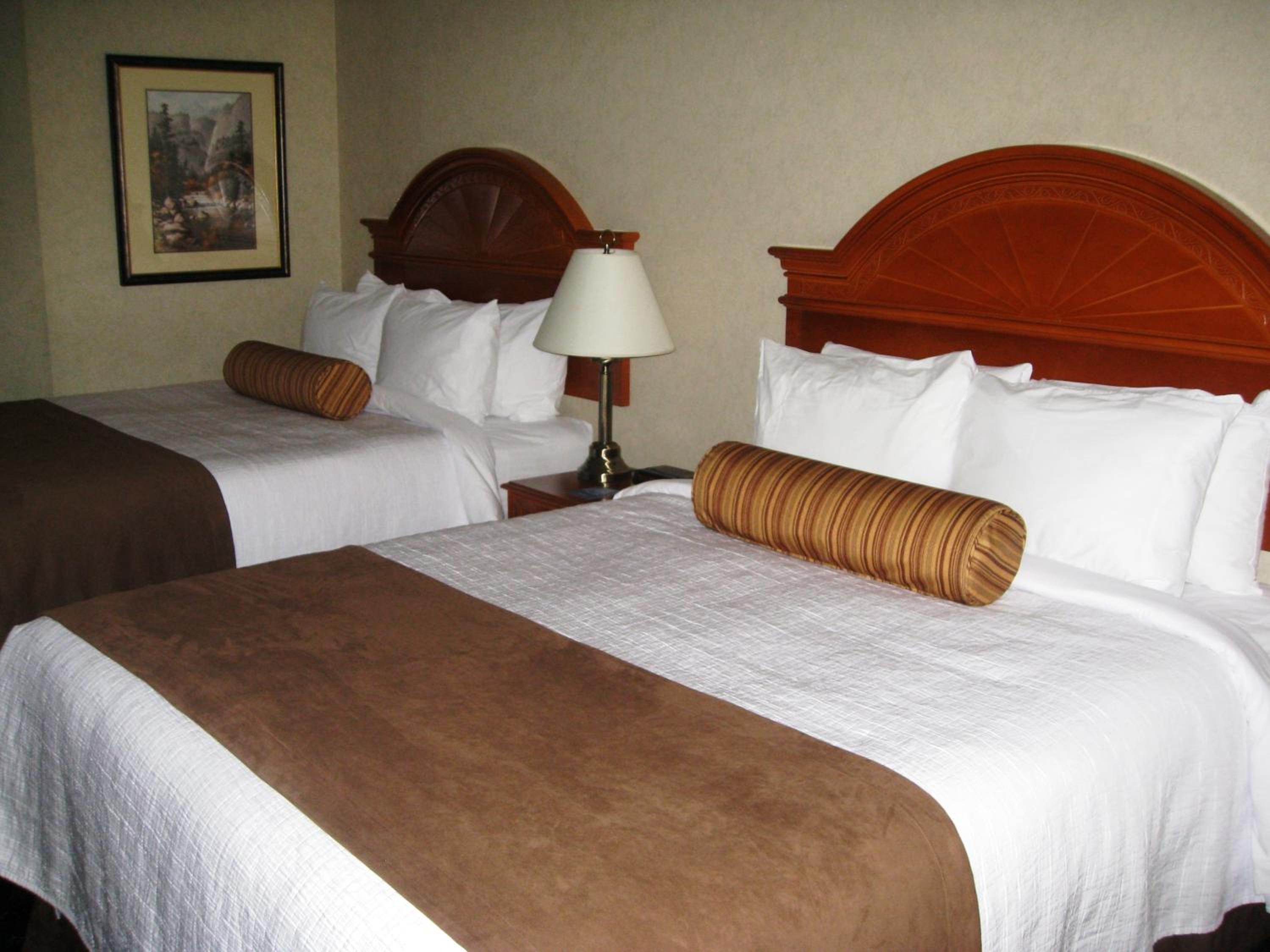 Queen Room with Two Queen Beds -Pet Friendly Non-Smoking - Photo 3